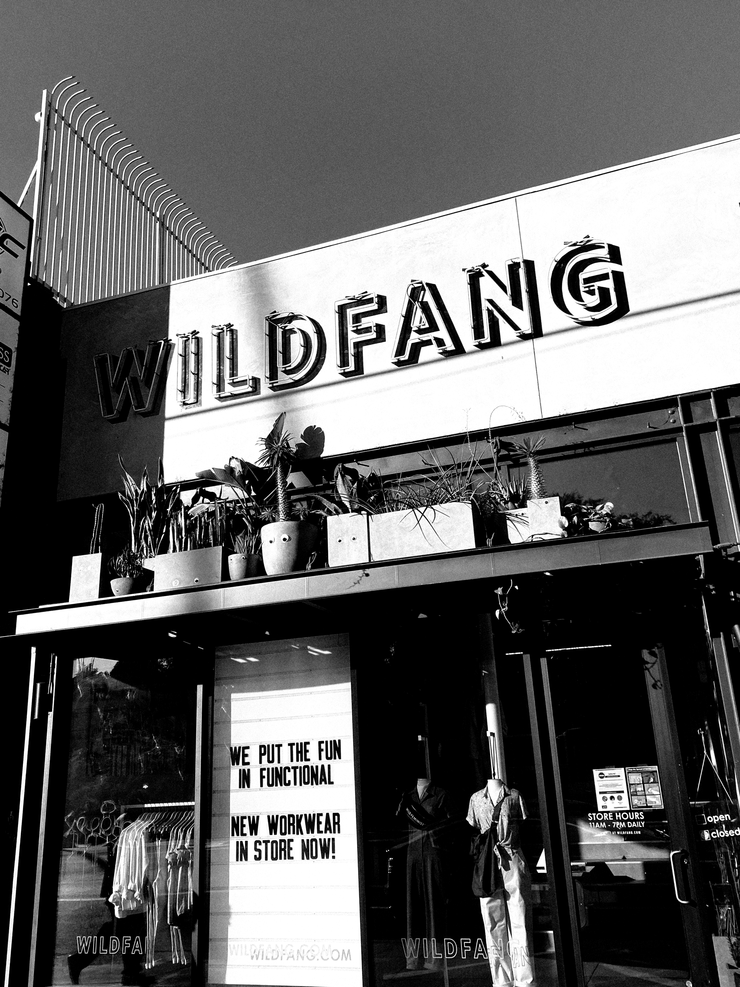 WILDFANG (Copy)