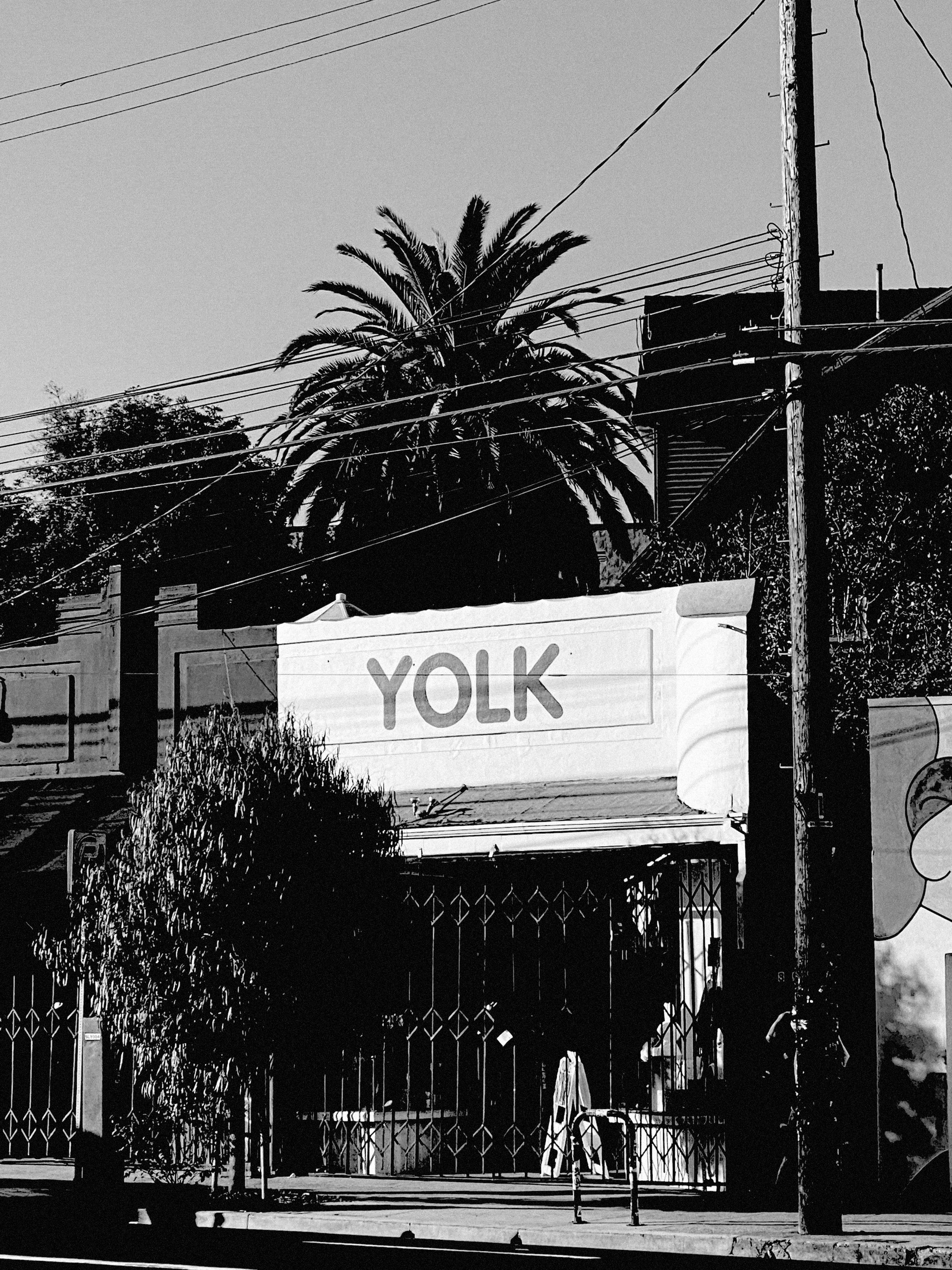 YOLK (Copy)