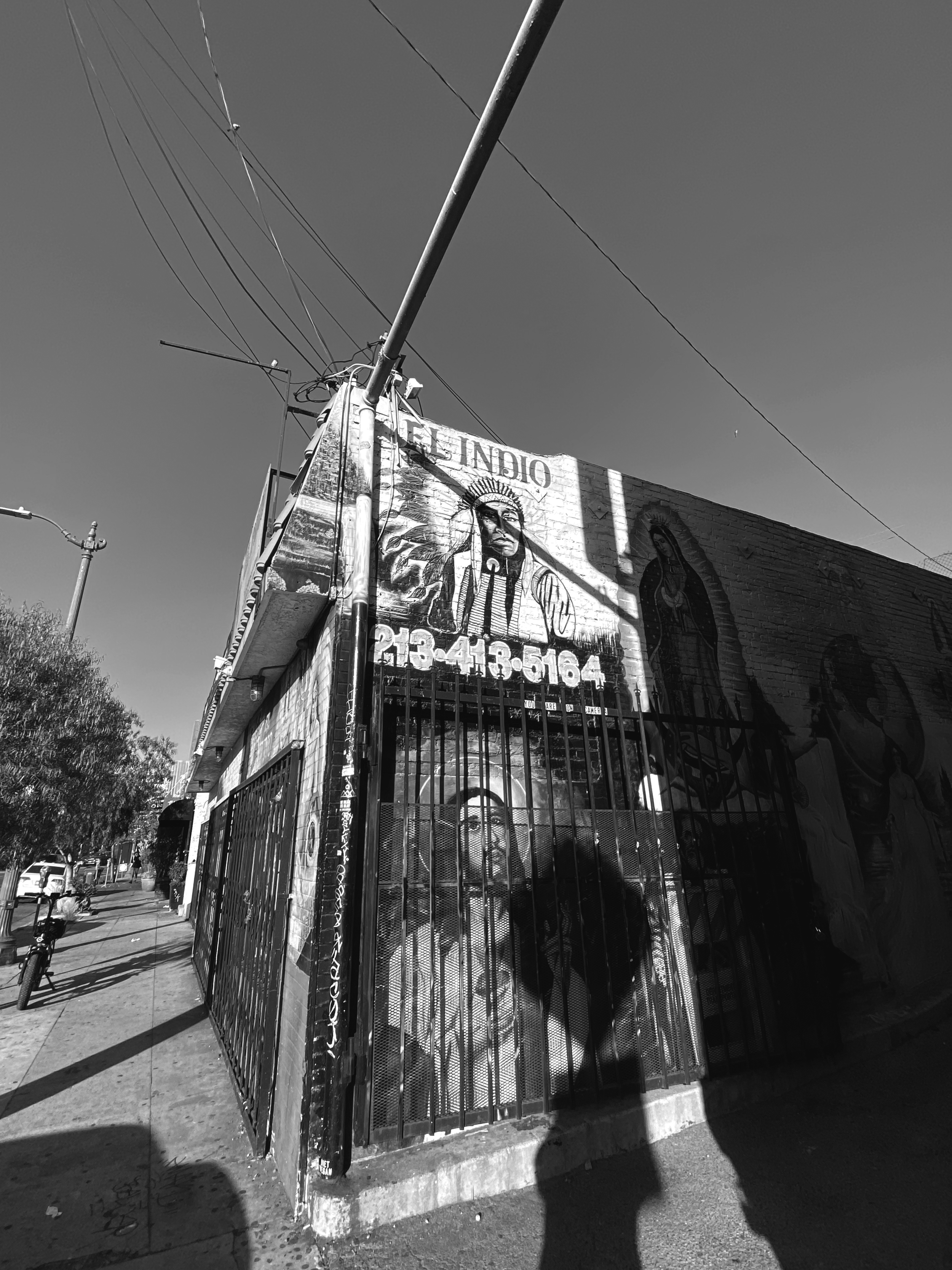 BOTANICA EL INDIO (Copy)