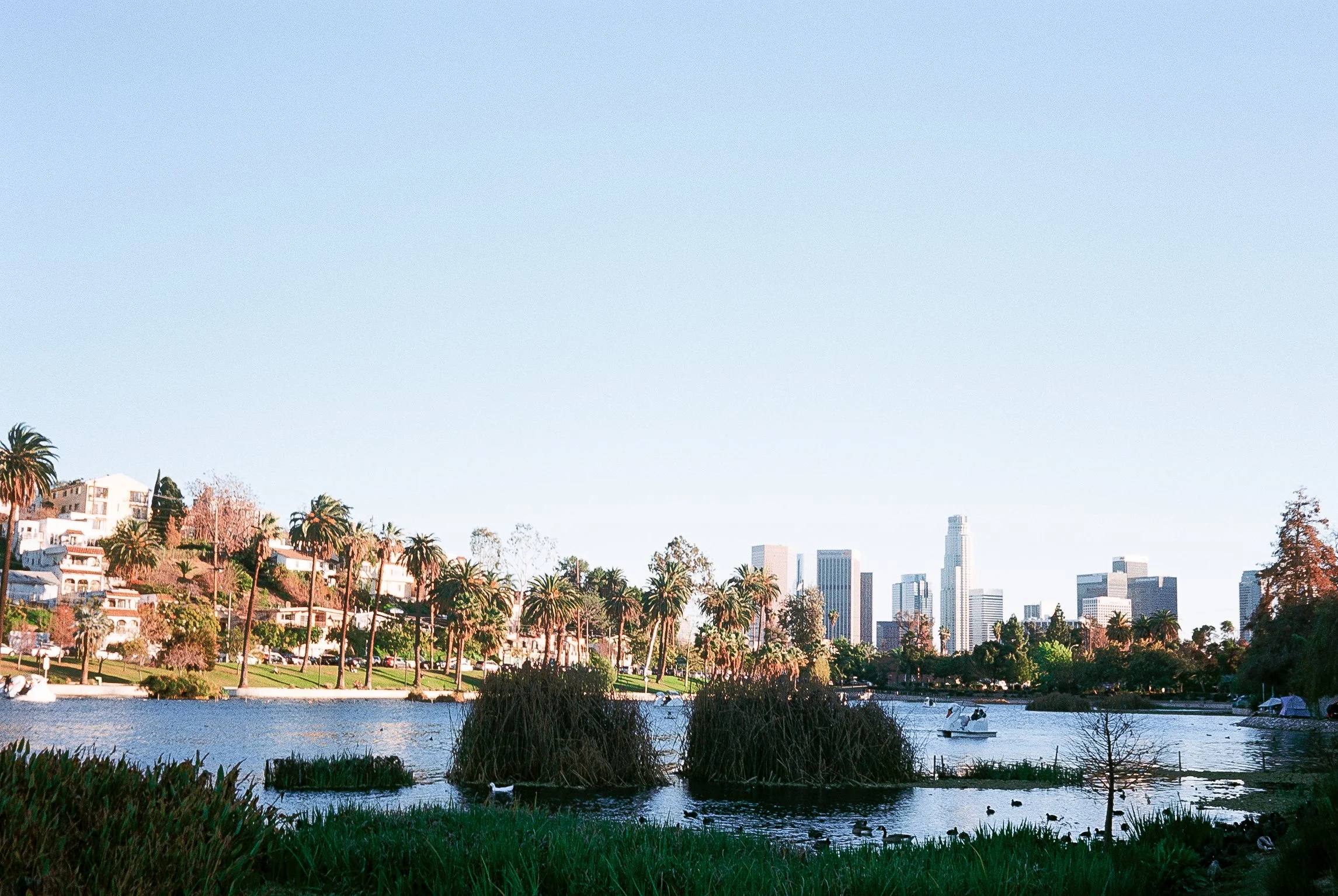 City skyline with tall buildings across a body of water, with trees and bushes in foreground, and a boat on the water.