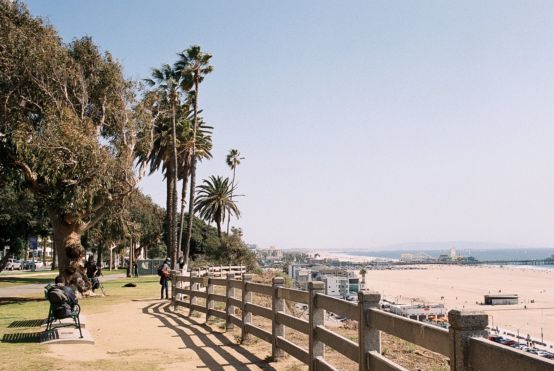 People walking and sitting on benches along a pathway next to a beach, with trees and palm trees on the side, and the ocean in the background.