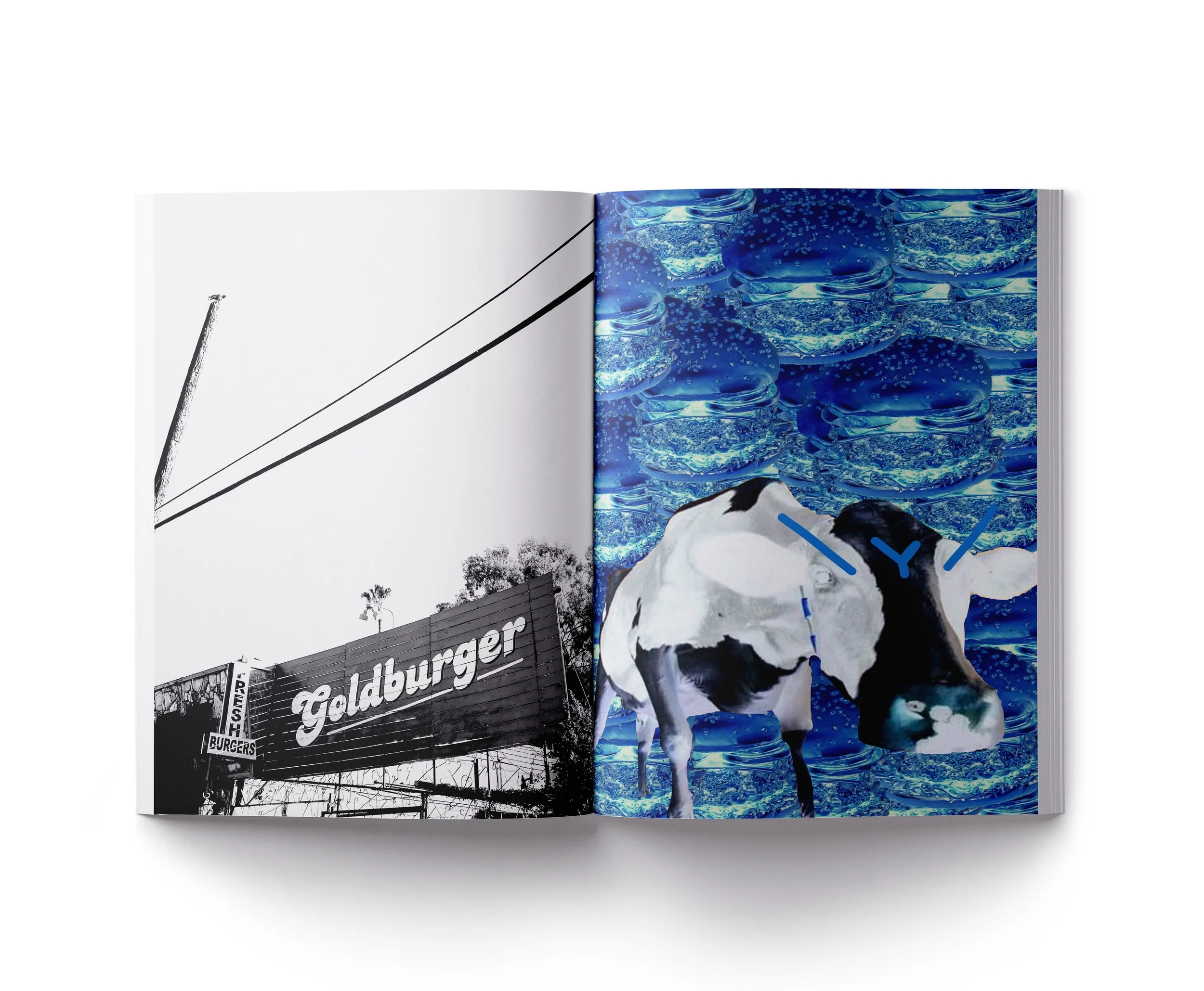 burger.jpg
