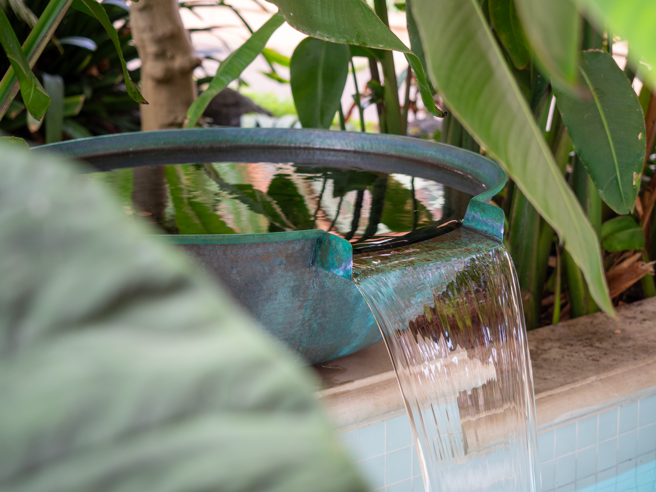 Close-up of a water fountain with water flowing, surrounded by green foliage.