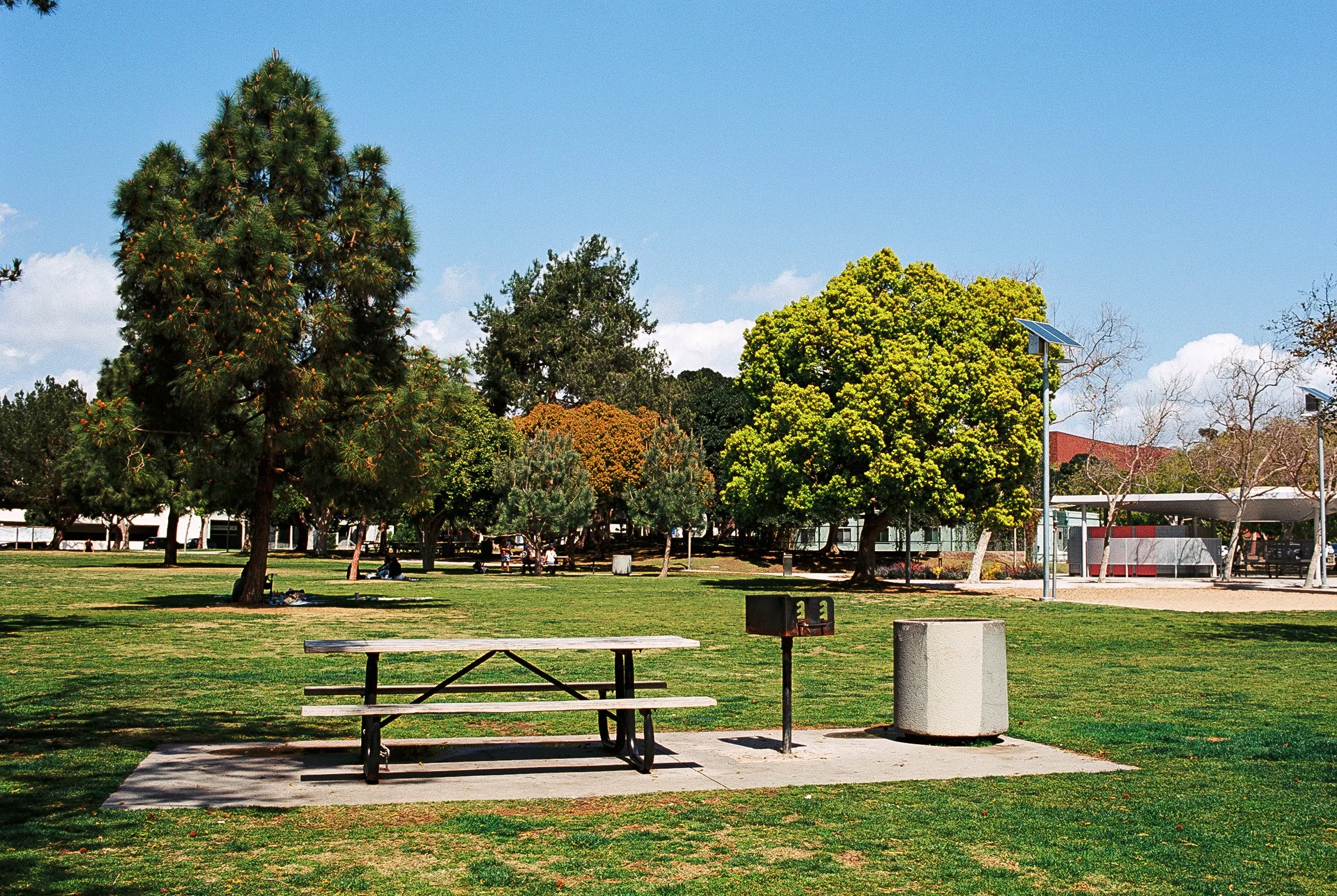 A park with green grass, several large trees, and a clear blue sky. There are picnic tables, a trash can, and solar-powered lights.