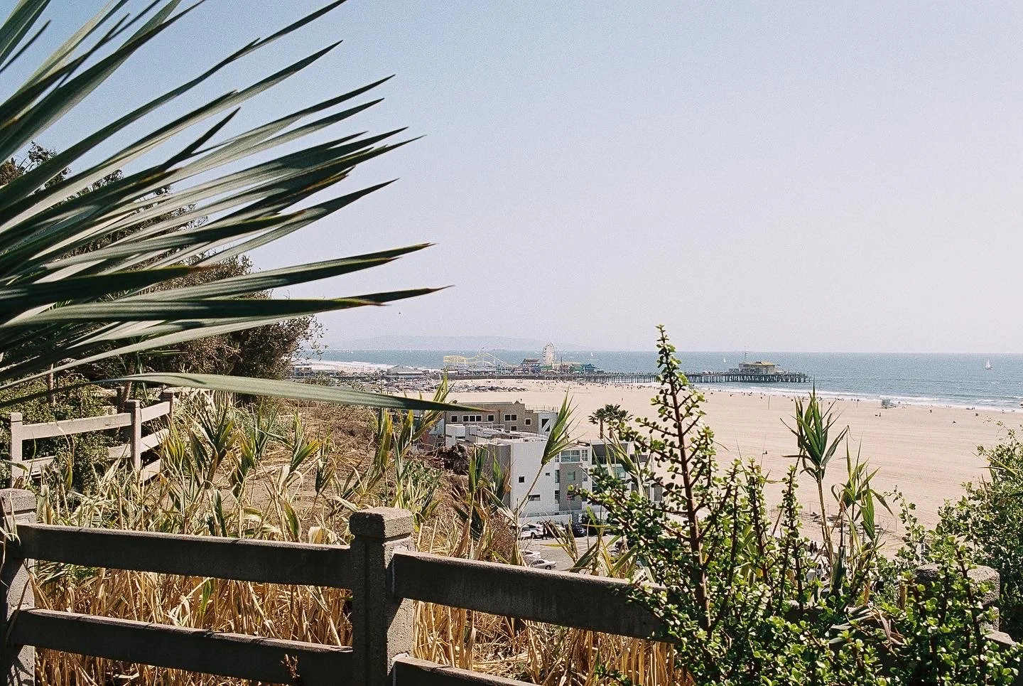 View of a beach with shoreline, pier extending into the ocean, and nearby buildings, seen through coastal vegetation and a wooden fence.