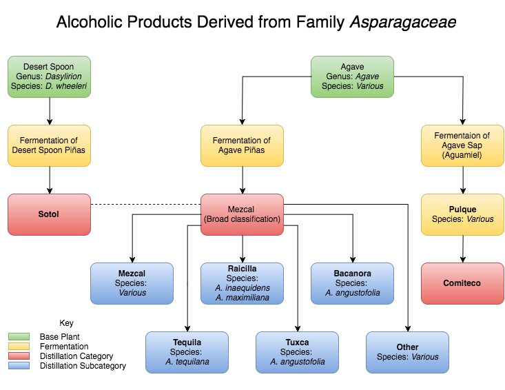 Alcohol From Agave (5).png