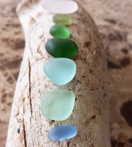 glass on log.png