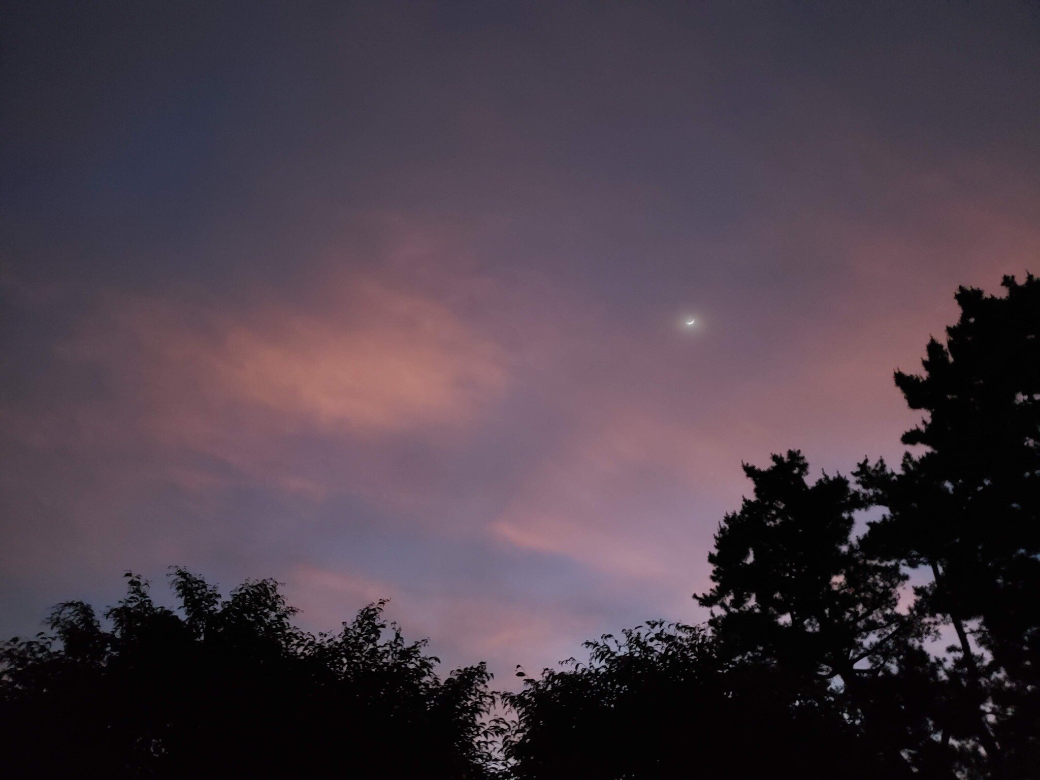 Dreamscape 🌙 ☁️ 🌌

#sunset #clouds #moon #dreamscape #naturalinspiration #seaglass #seaglassjewelry