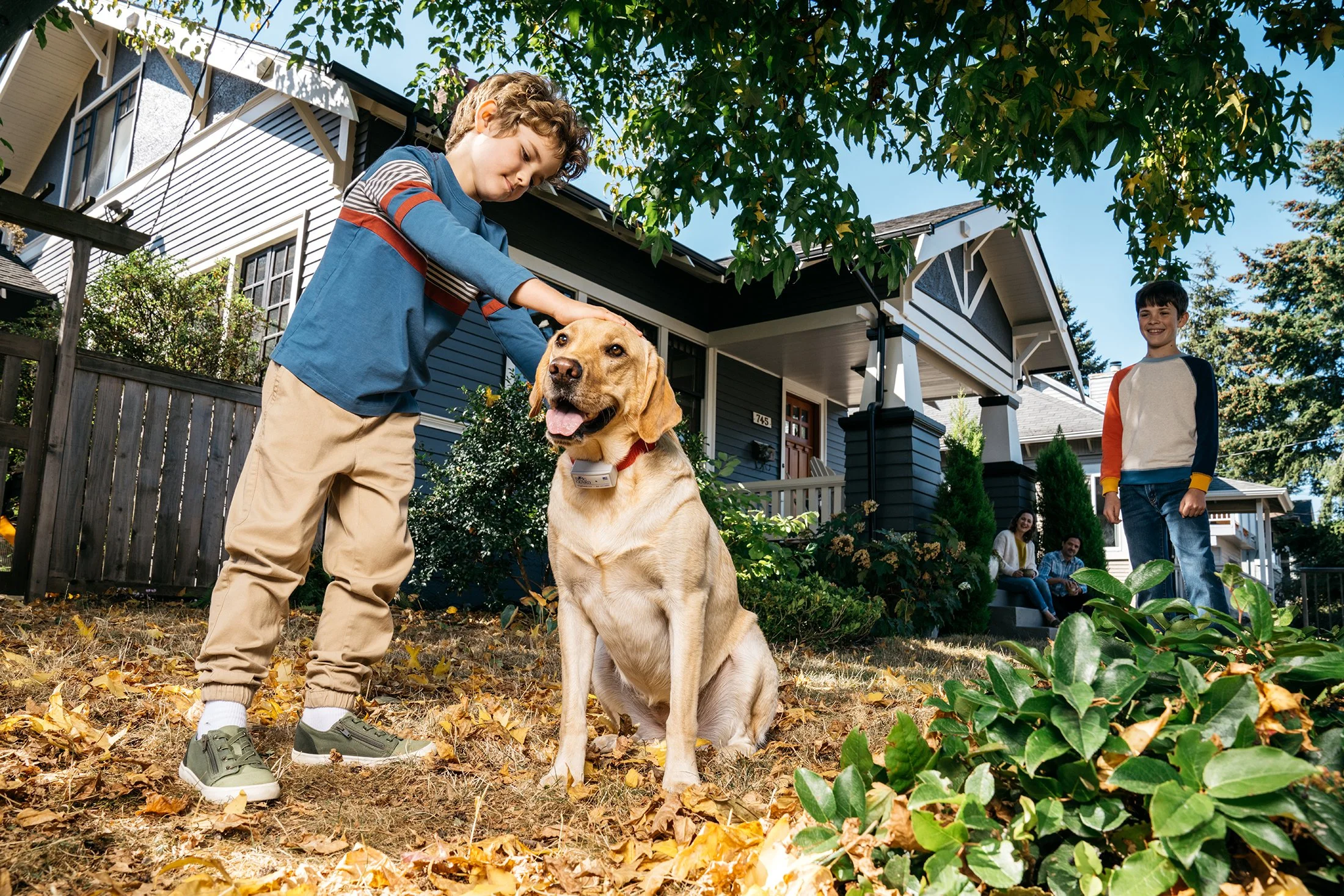 CBOWDEN-DOG-GUARD-GREENWOOD-111.JPG