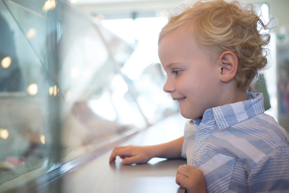 Boombalattis WEB-19.jpg