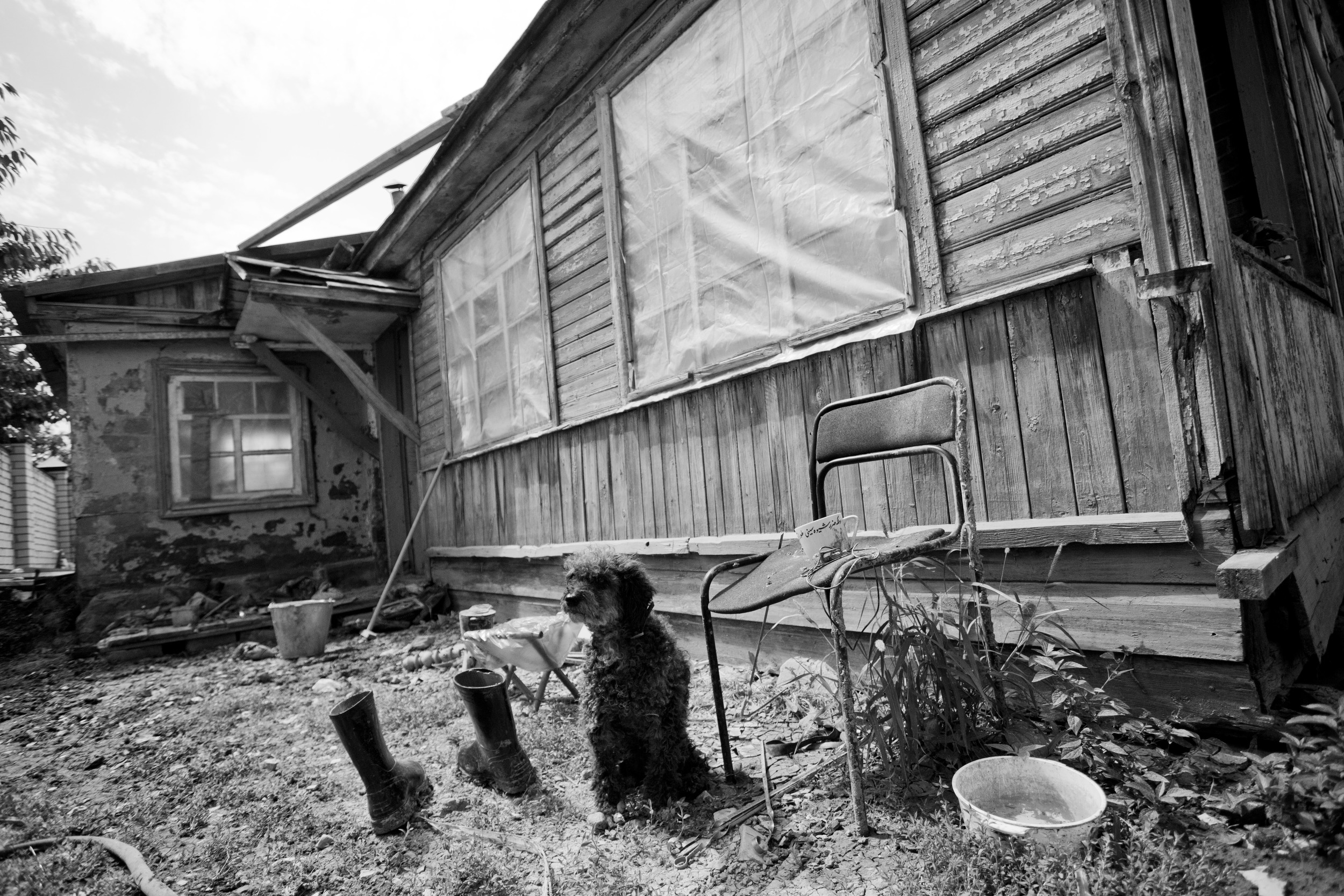 A month later, a dog waits next to an abandoned house that was damaged and left after a flood in Krymsk, Russia. August 2, 2012
