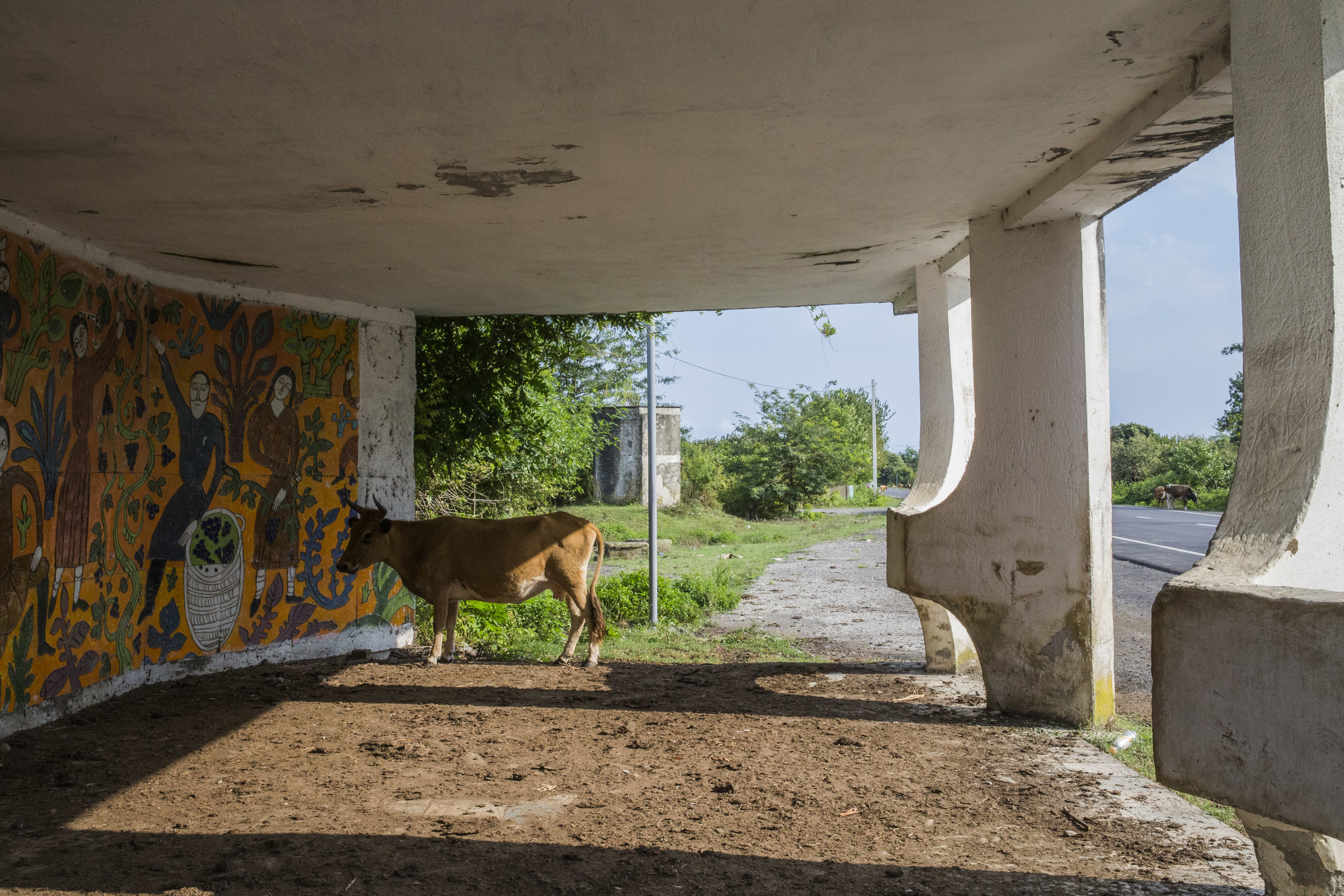  Gorgeous Soviet-era bus stops with mosaic or neoclassical railroad bridges are mostly abandoned and are rapidly detiorating 