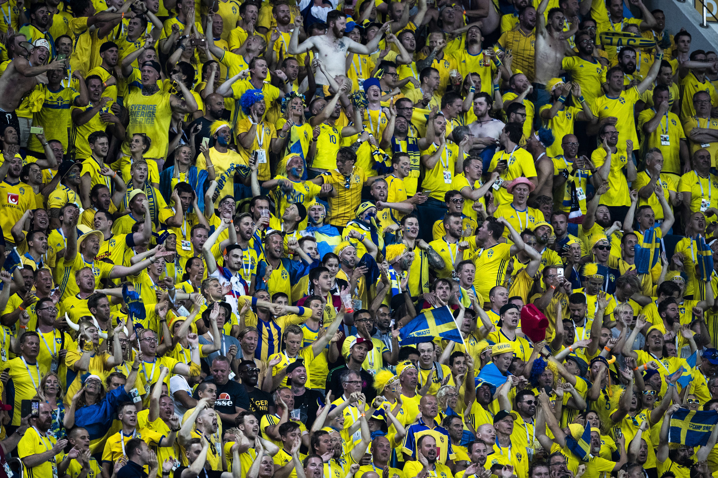  Swedish supporters celebrate their team's goal against Germany in Sochi 
