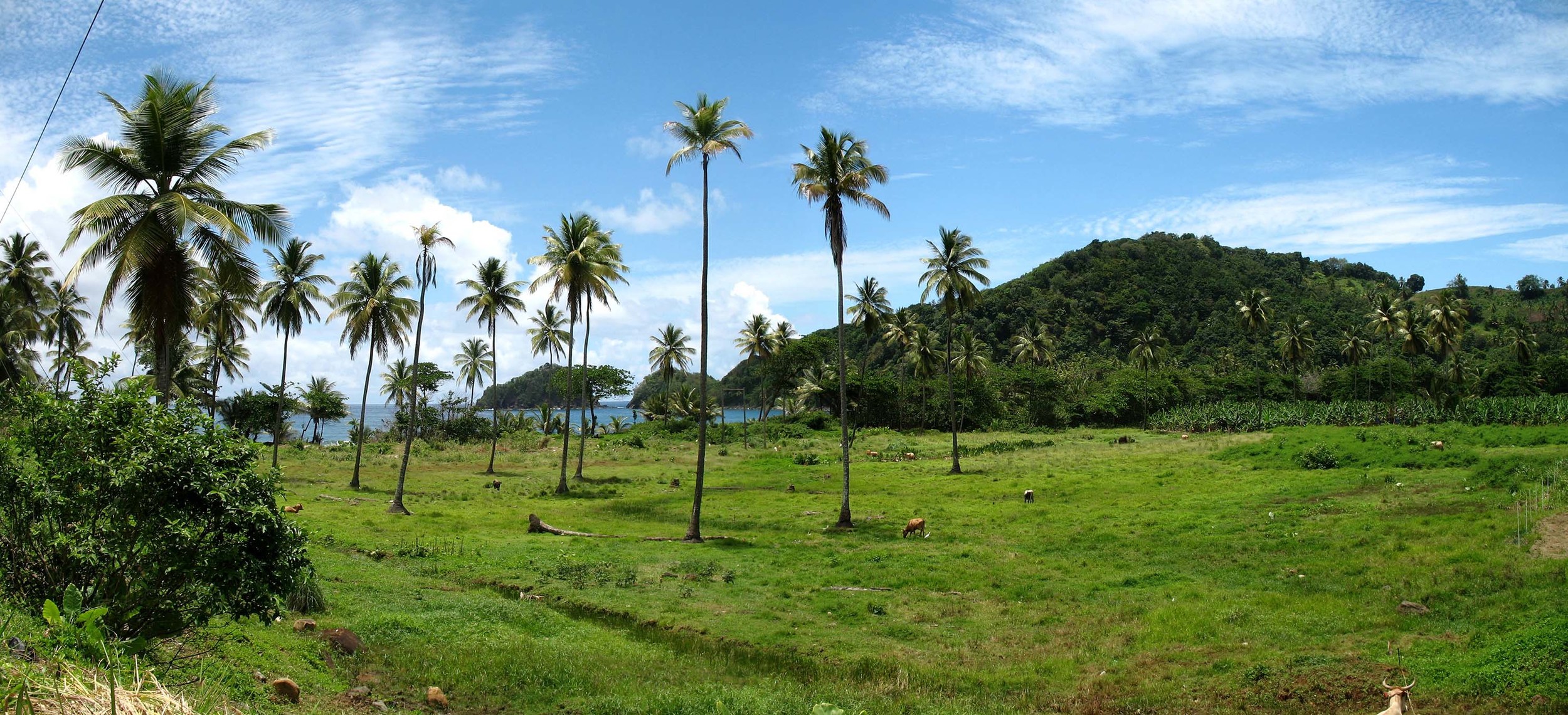 Dominica_Panorama_51.jpg