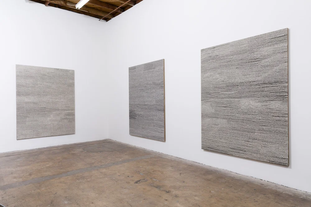 Field Paintings (install)