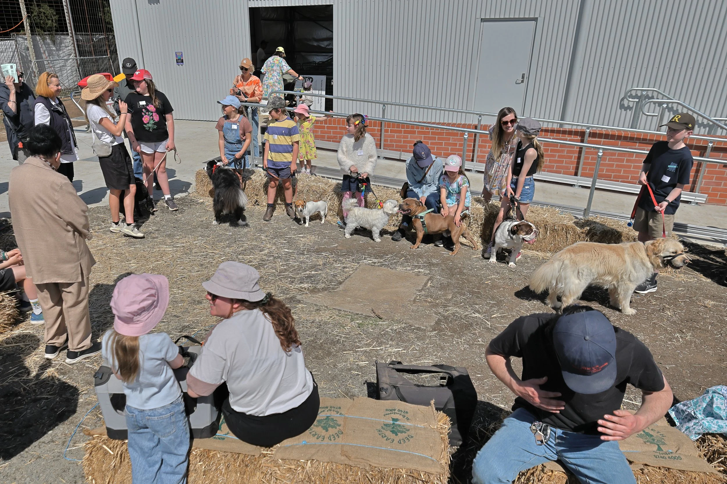 Simon-Sinnott-Kyneton_Show_2025_SS_022.JPG