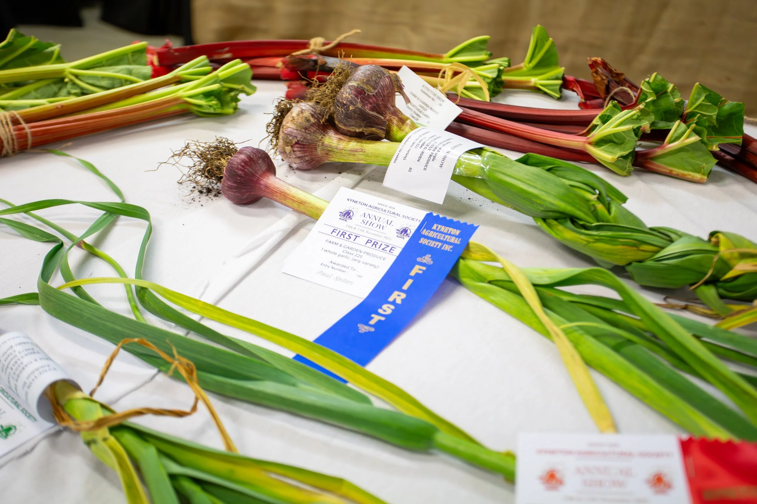 Shirene-Morgan-2025 Kyneton Show_-18.jpg
