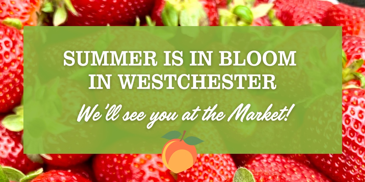 WFM Summer