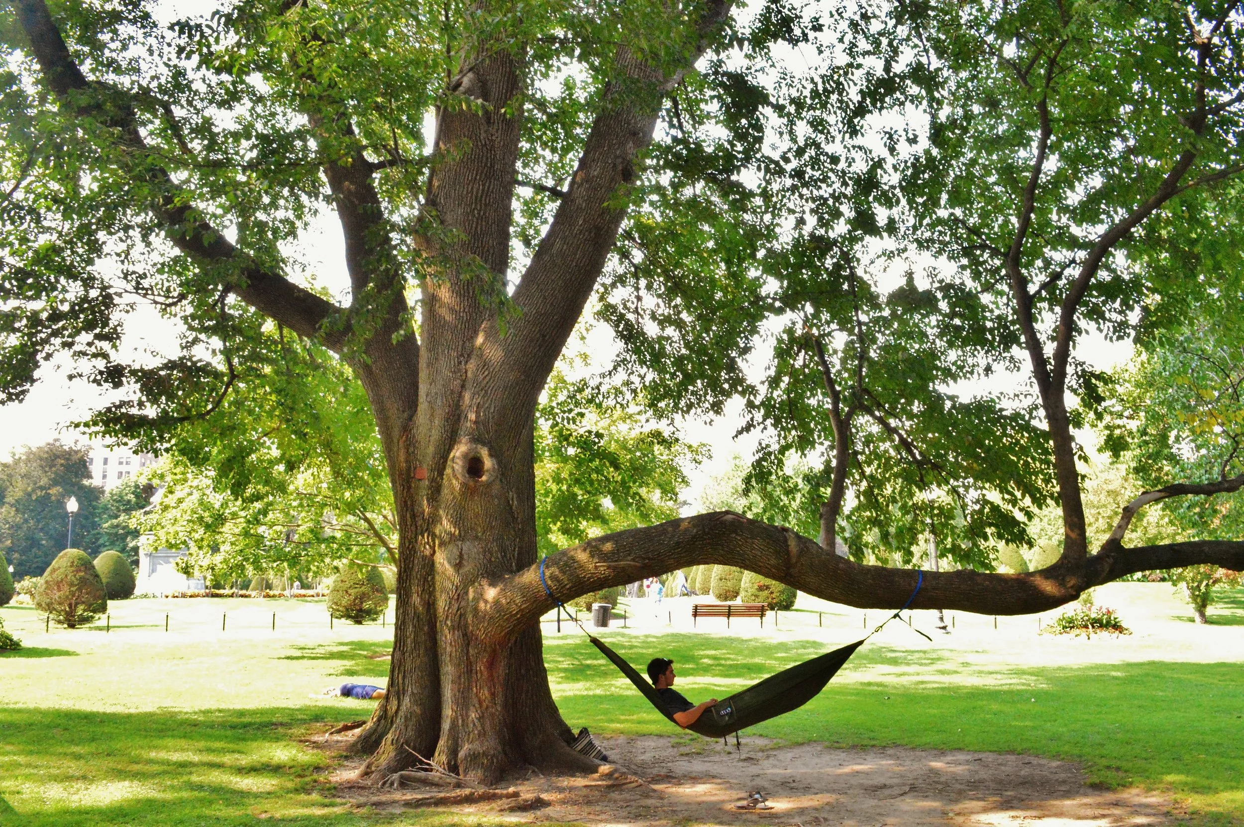 Boston Commons Park