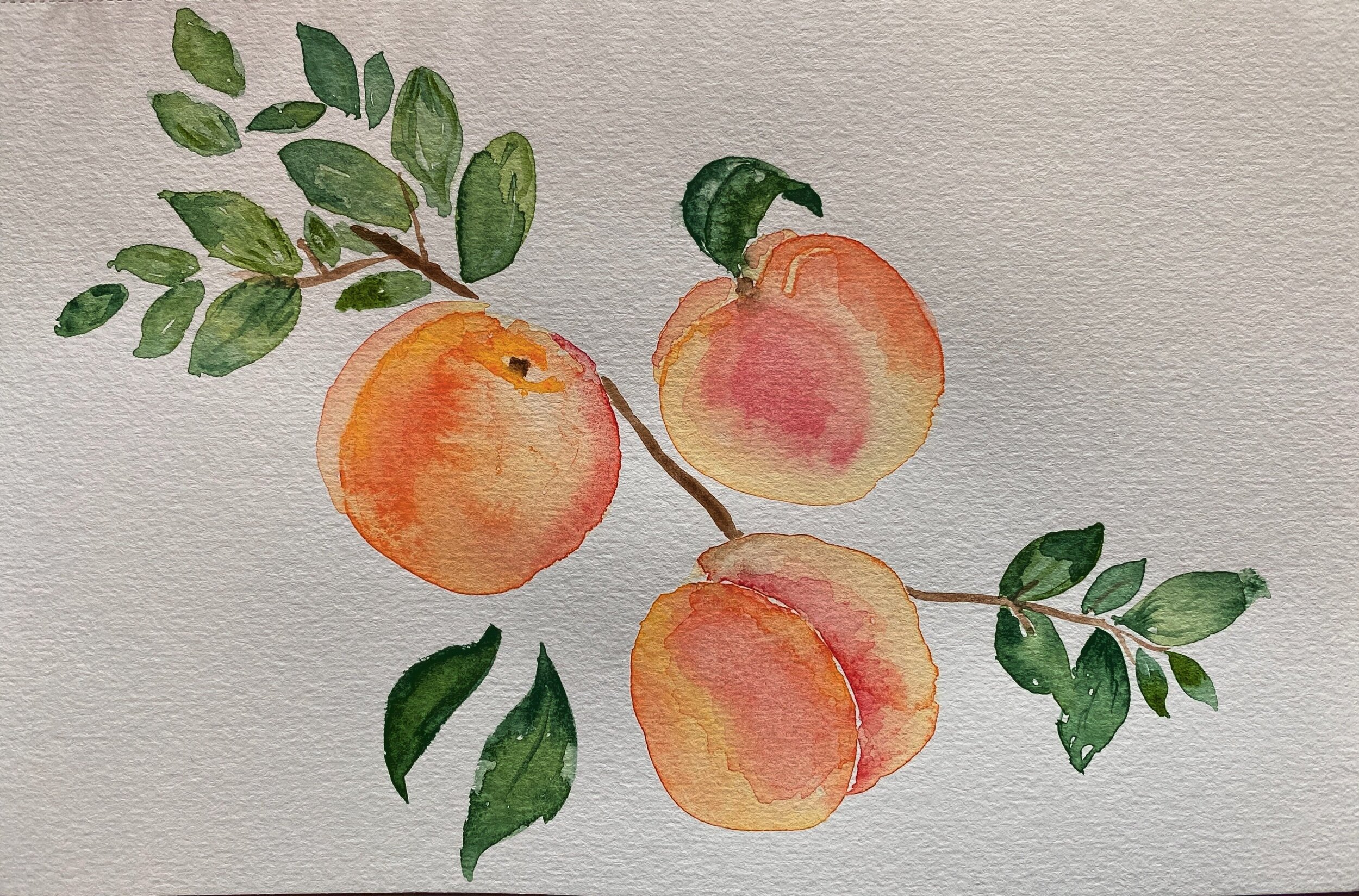 Peaches.jpeg