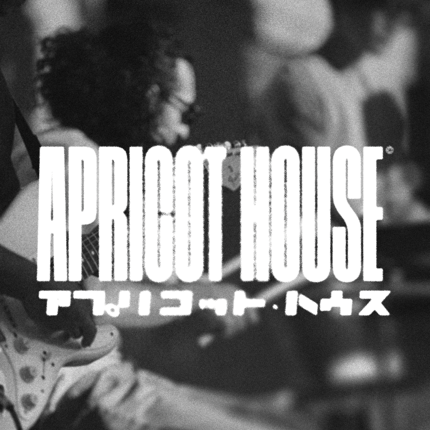 Apricot House - Branding/Art Direction