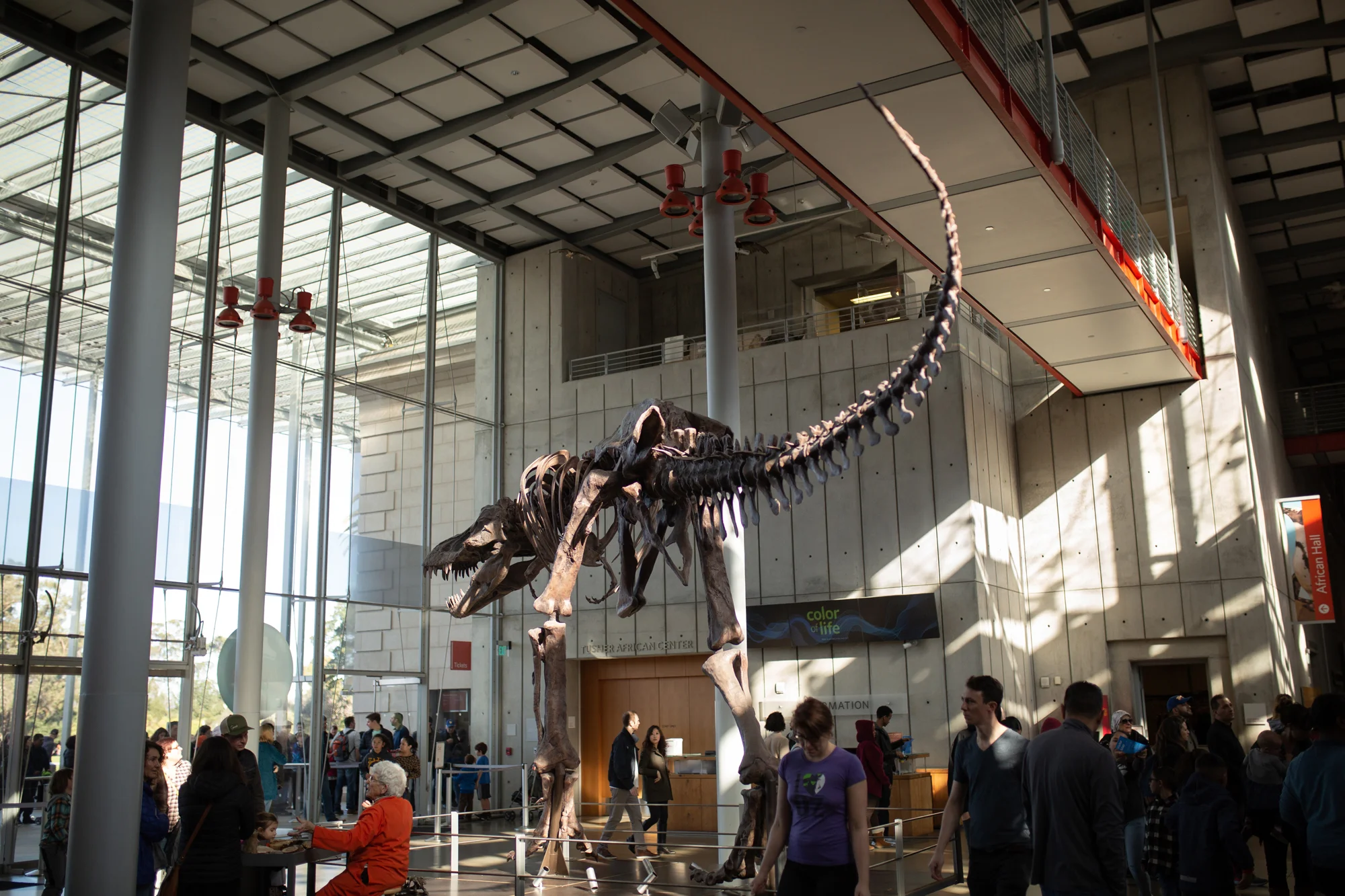 california-academy-of-sciences-engagement-photography-lilouette-05.jpg