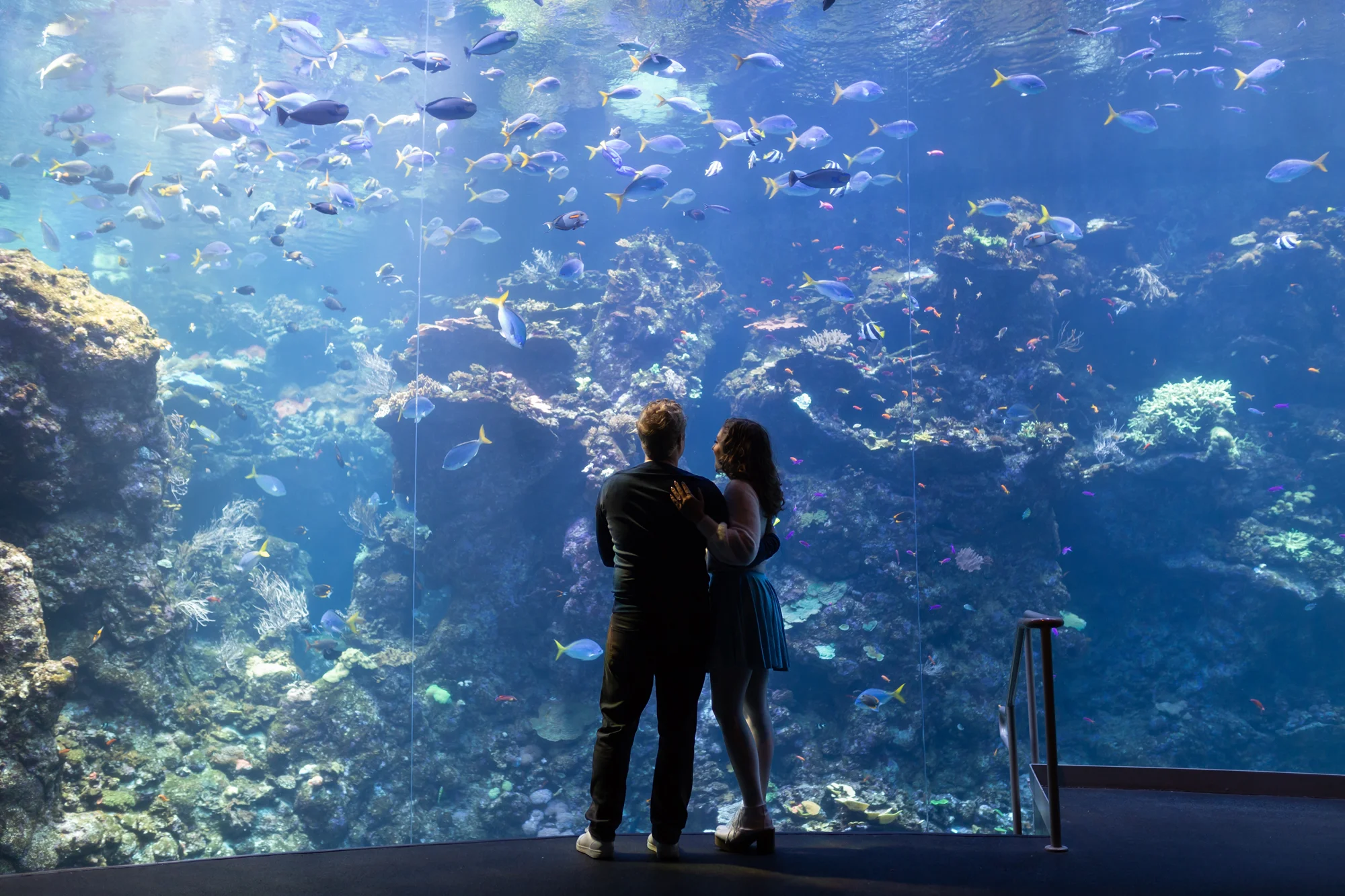 california-academy-of-sciences-engagement-photography-lilouette-06.jpg