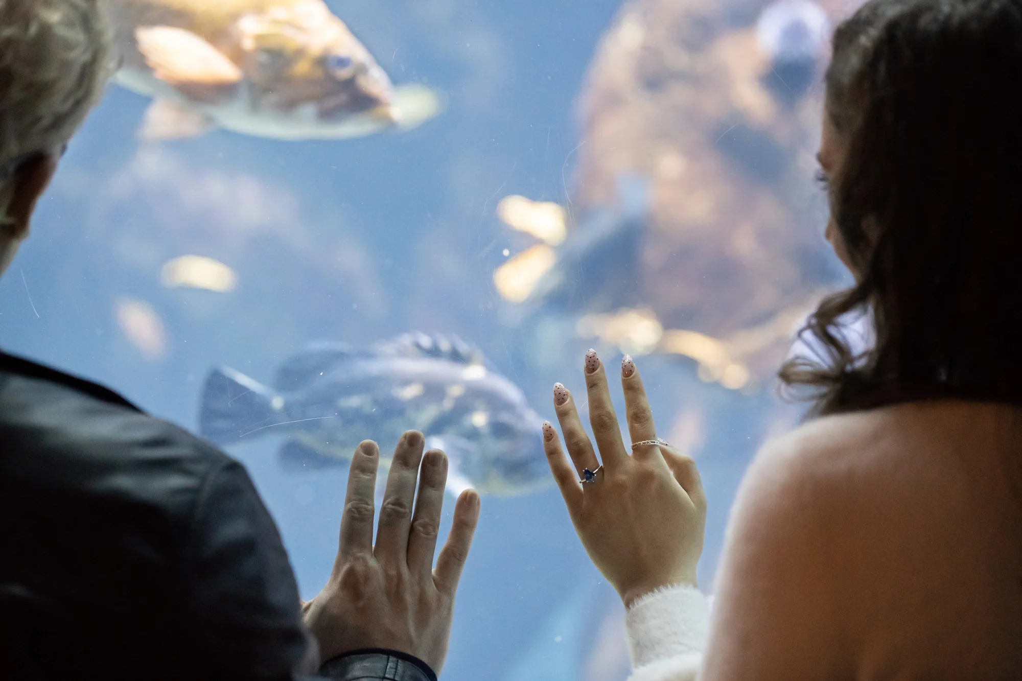 california-academy-of-sciences-engagement-photography-lilouette-12.jpg
