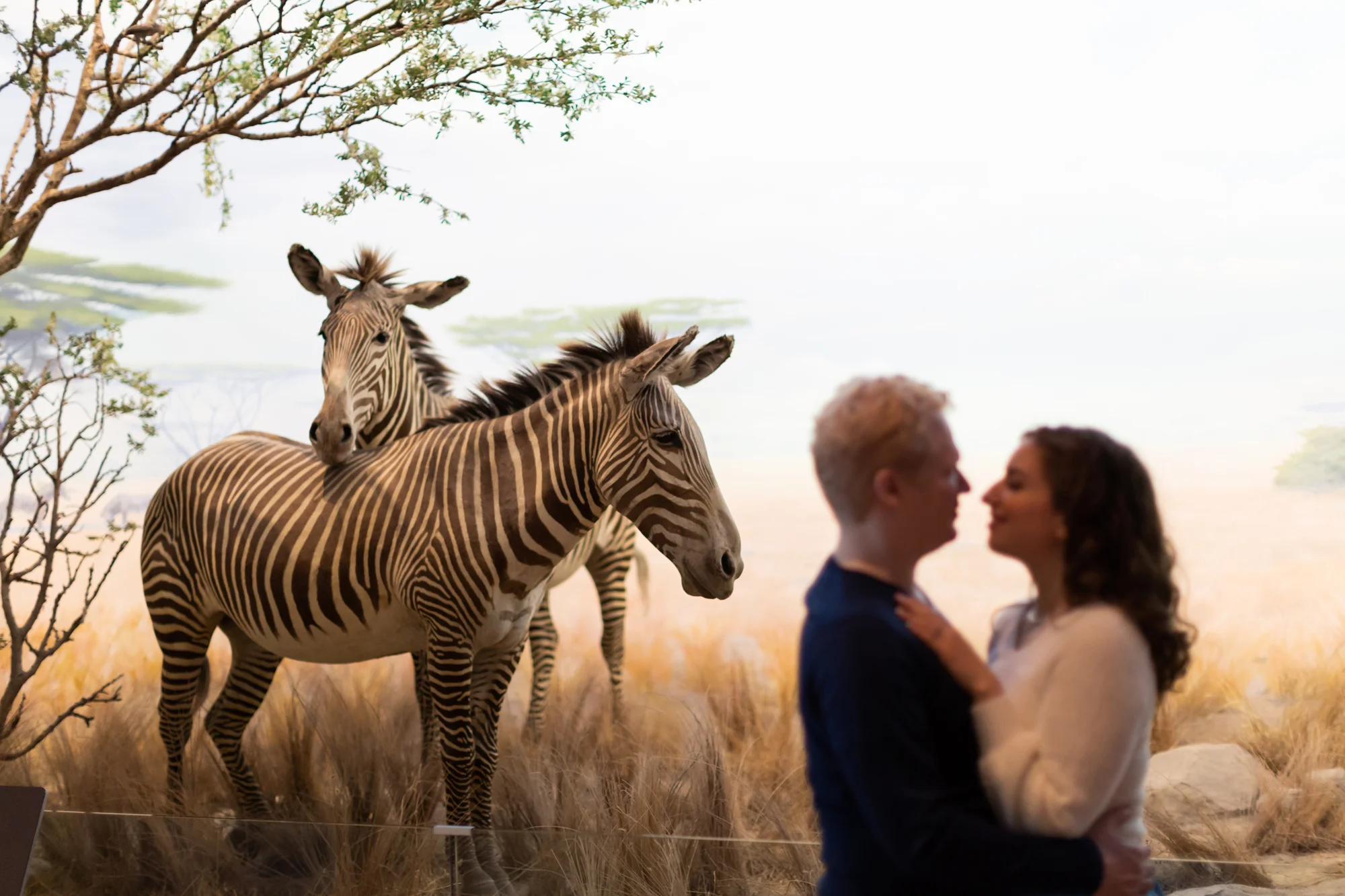 california-academy-of-sciences-engagement-photography-lilouette-34.jpg