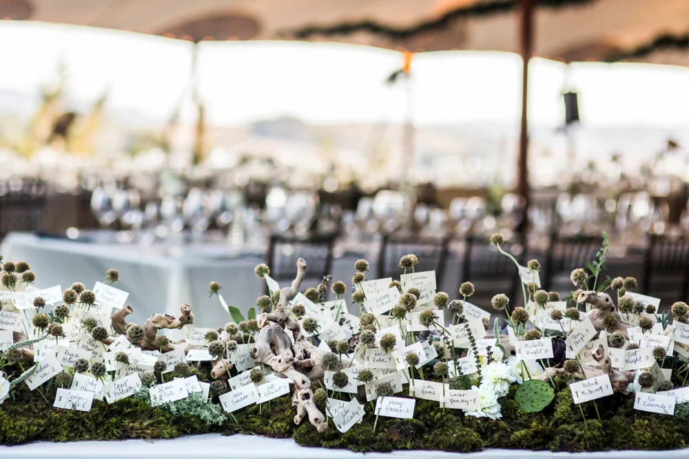 pescadero-private-estate-wedding-photography-lilouette-46.jpg