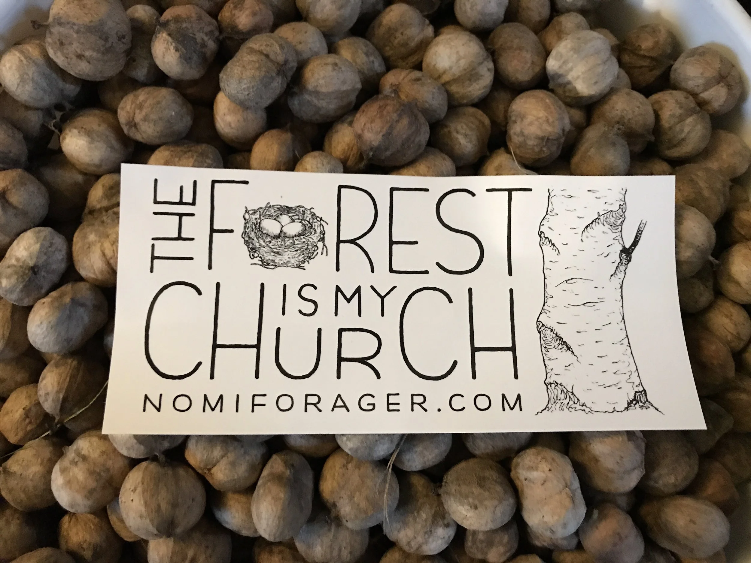 The Forest is my Church- Sticker