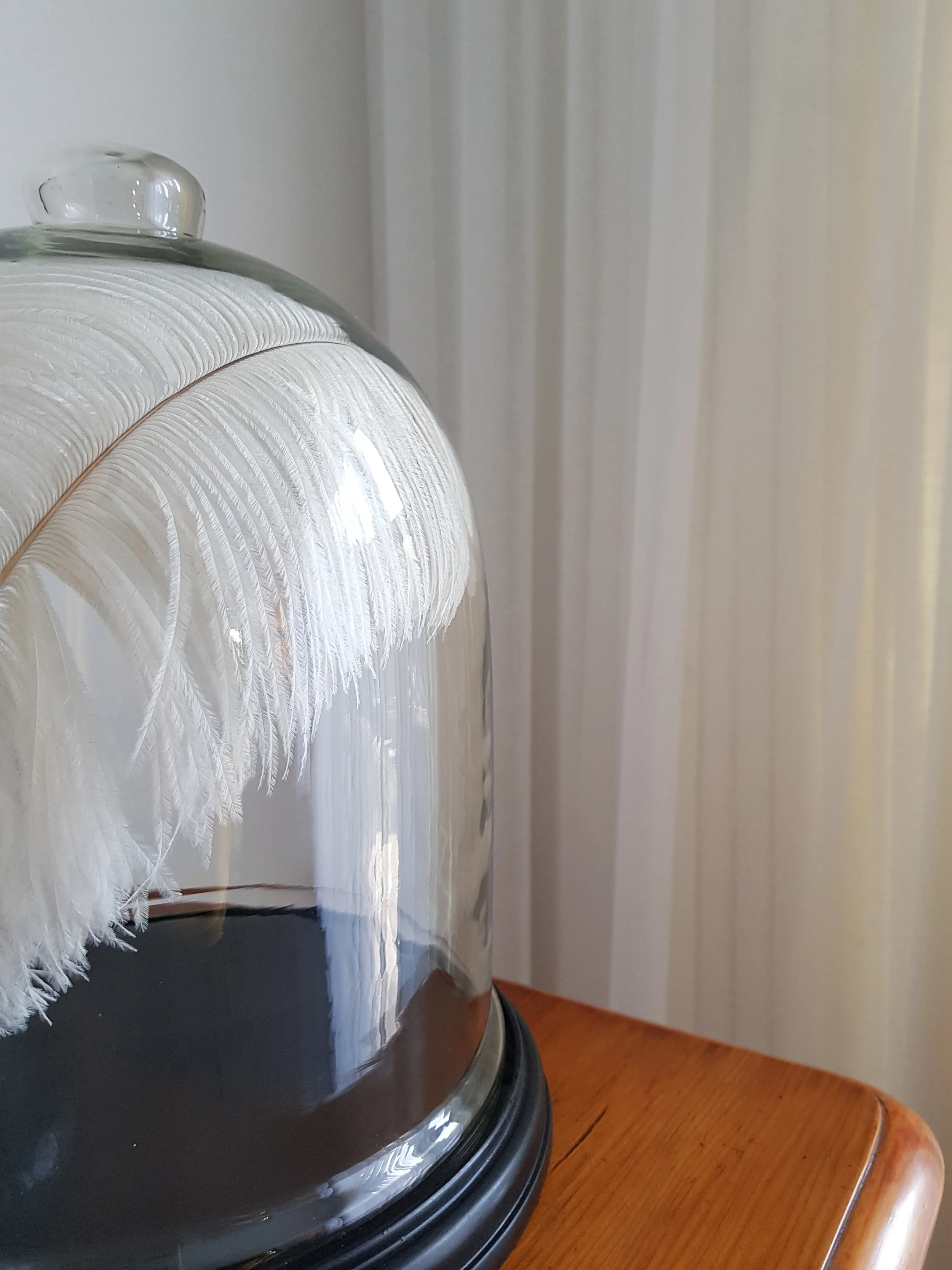 20190503_124717.jpg