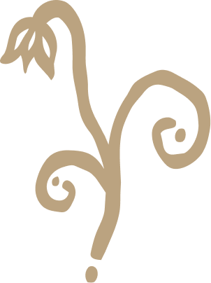 Stylized, abstract drawing of a plant with a curved stem and a leafy top, in neutral tones.