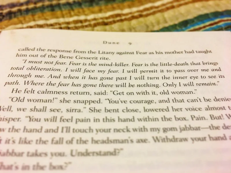 Quanto mais medo, menos crowd