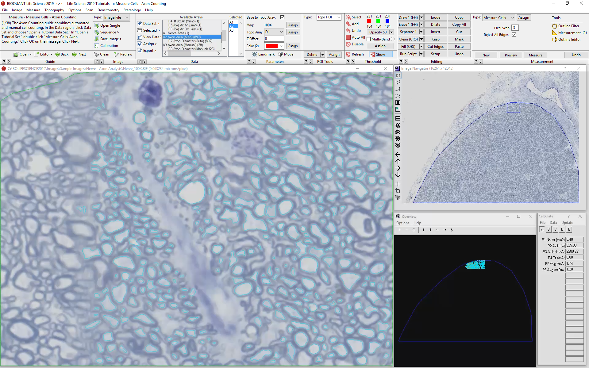 Measure only the Newly Identified Cells