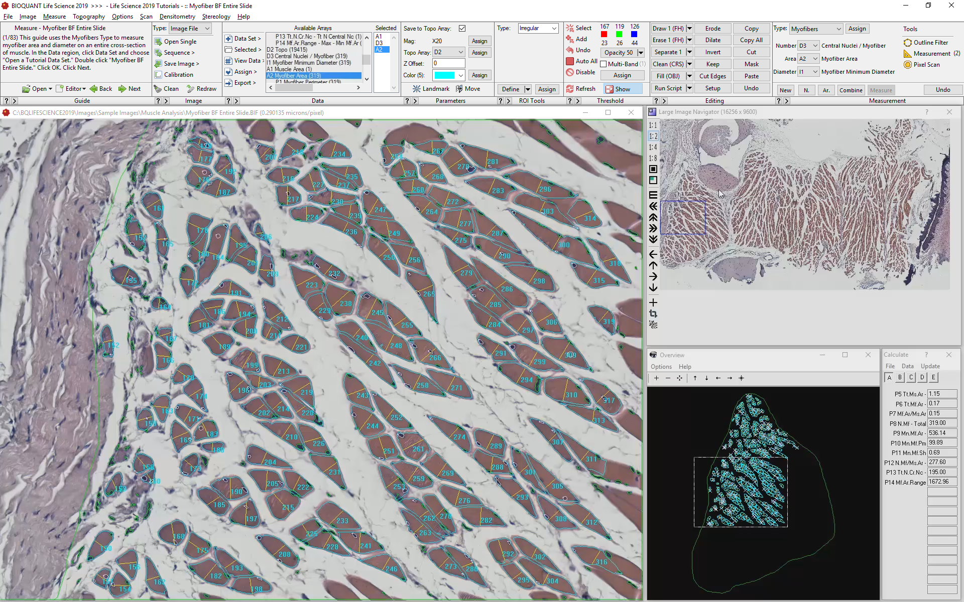 Measure Only the Newly Identified Cells