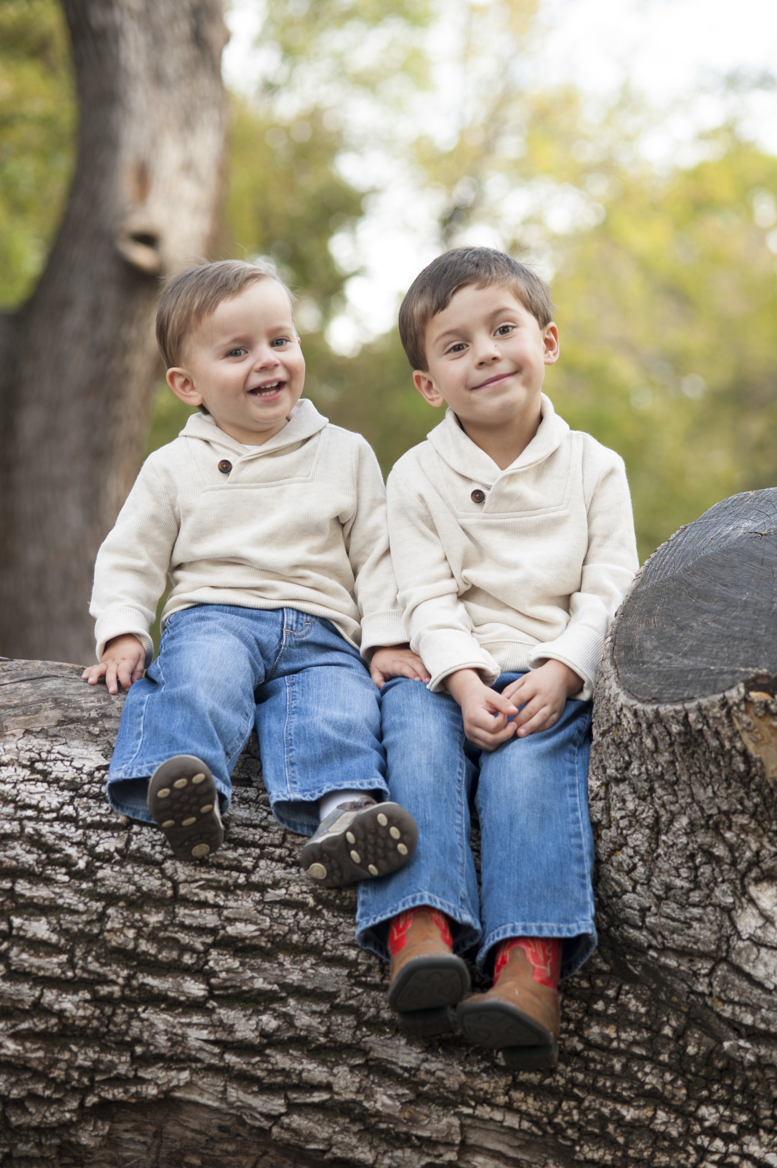 Young brothers sitting on a tree.