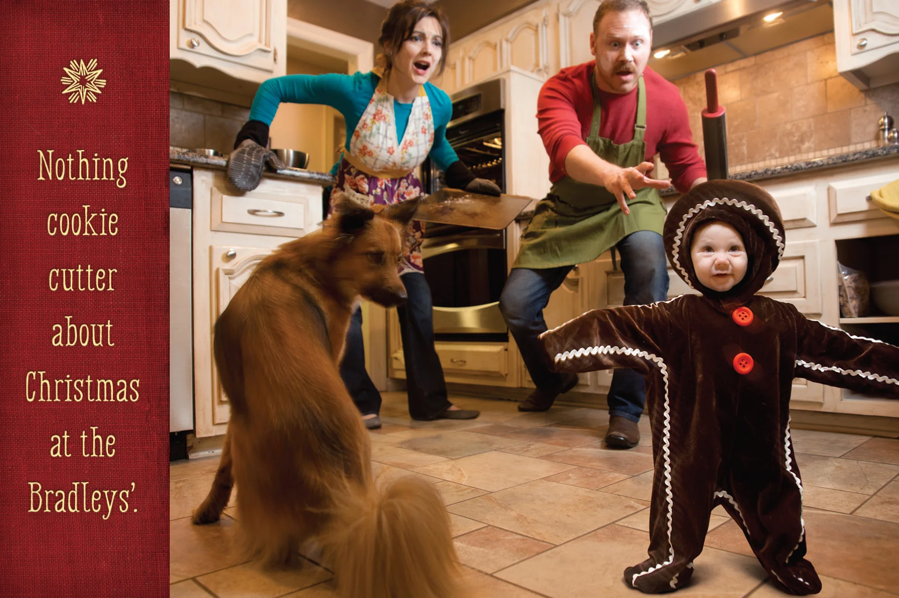 BradleyXmasCard2014_frontF.jpg