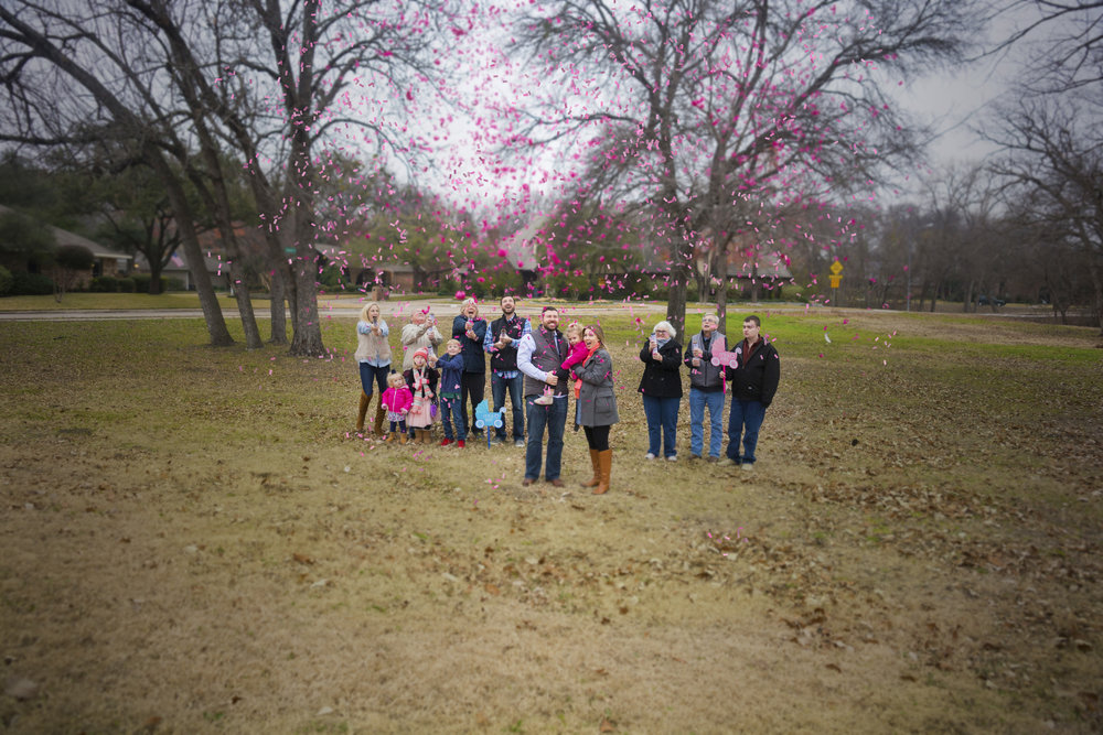 Confetti cannon gender reveal with the entire family. It's a girl!