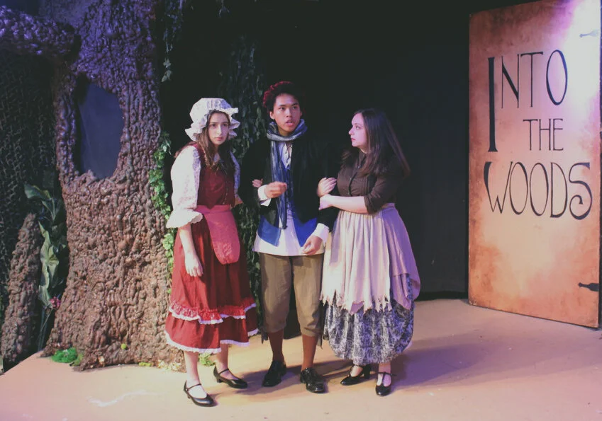 Into The Woods Sneak Peek