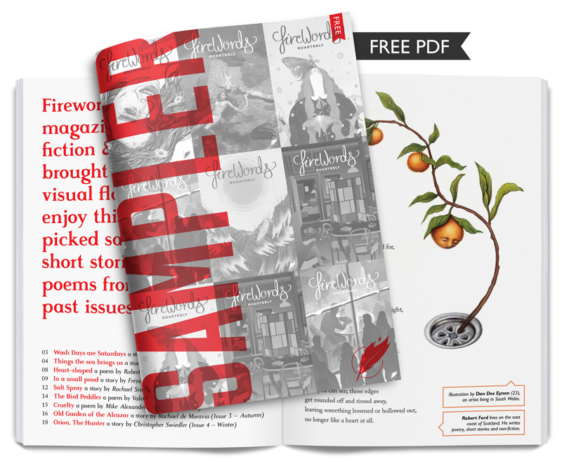 Click to download your free copy of our Sampler Issue