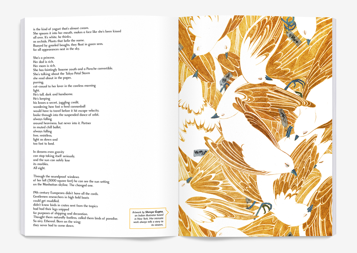 birds-spread.jpg