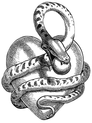 next-prompt-snake.jpg