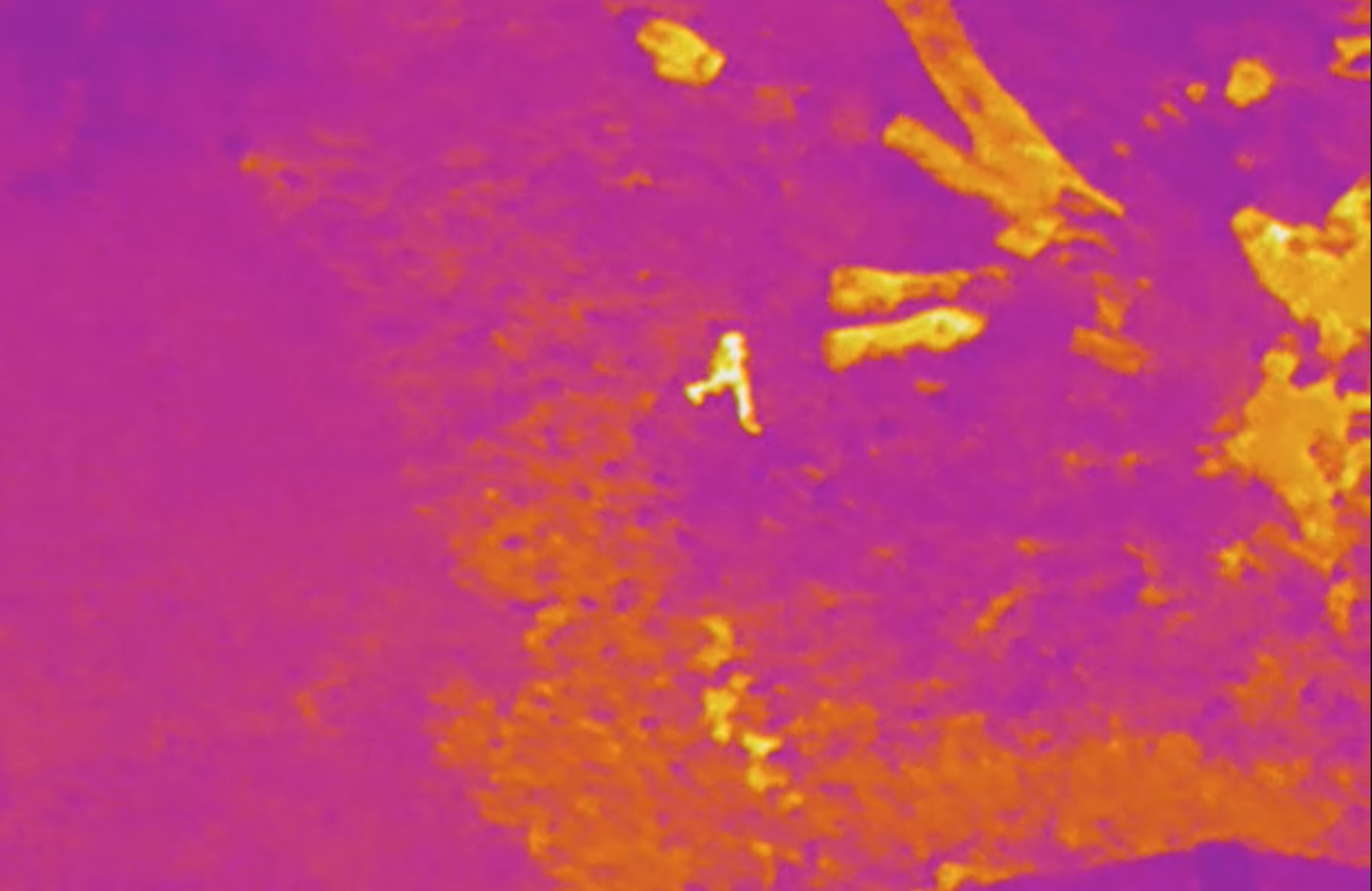 Screen Shot 2018-09-03 at 12.55.15 PM.png