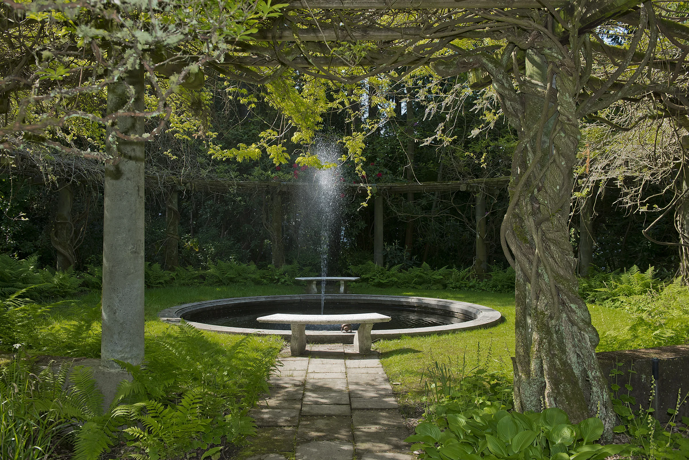 back fountain 5.jpg