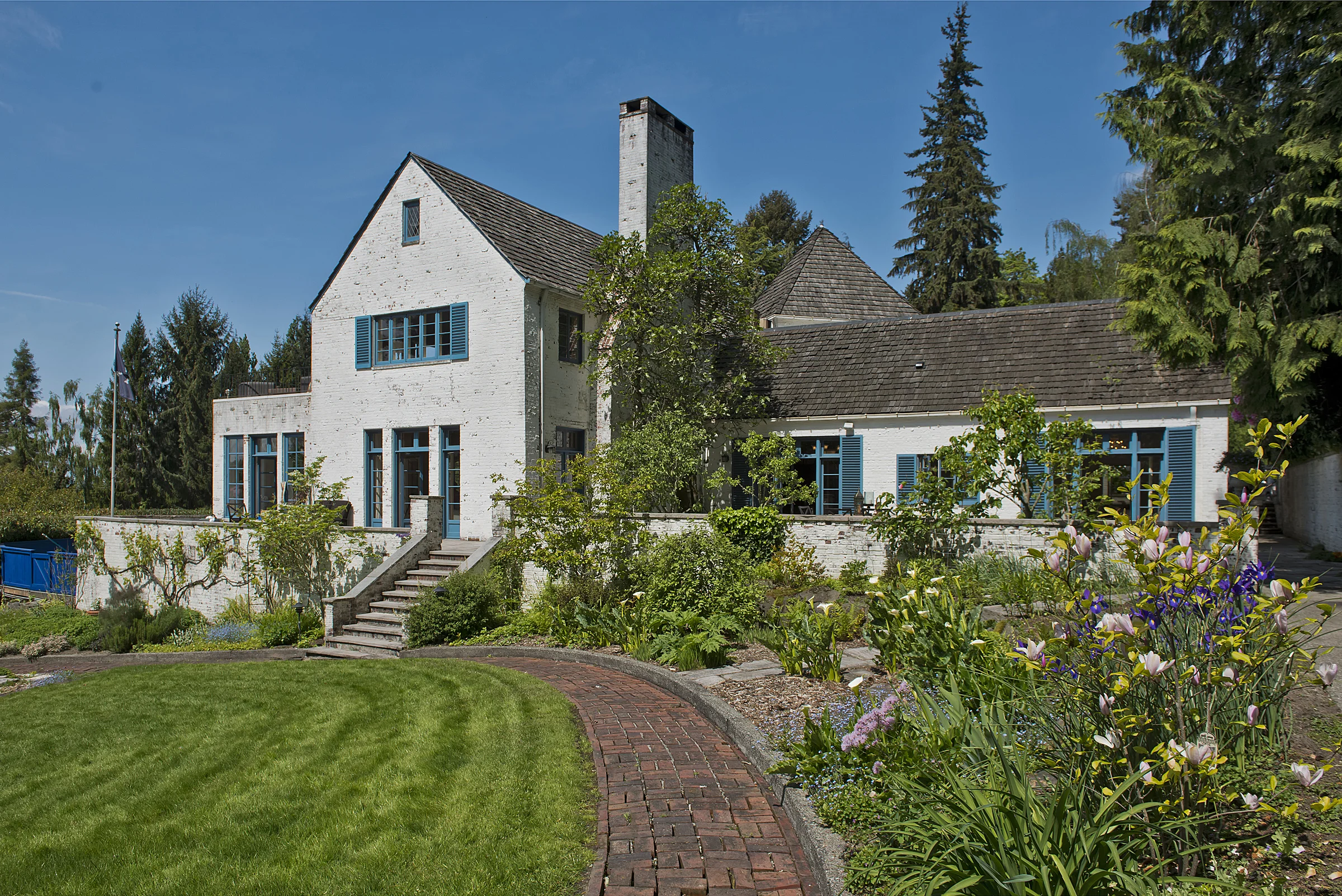 back yard 4.jpg