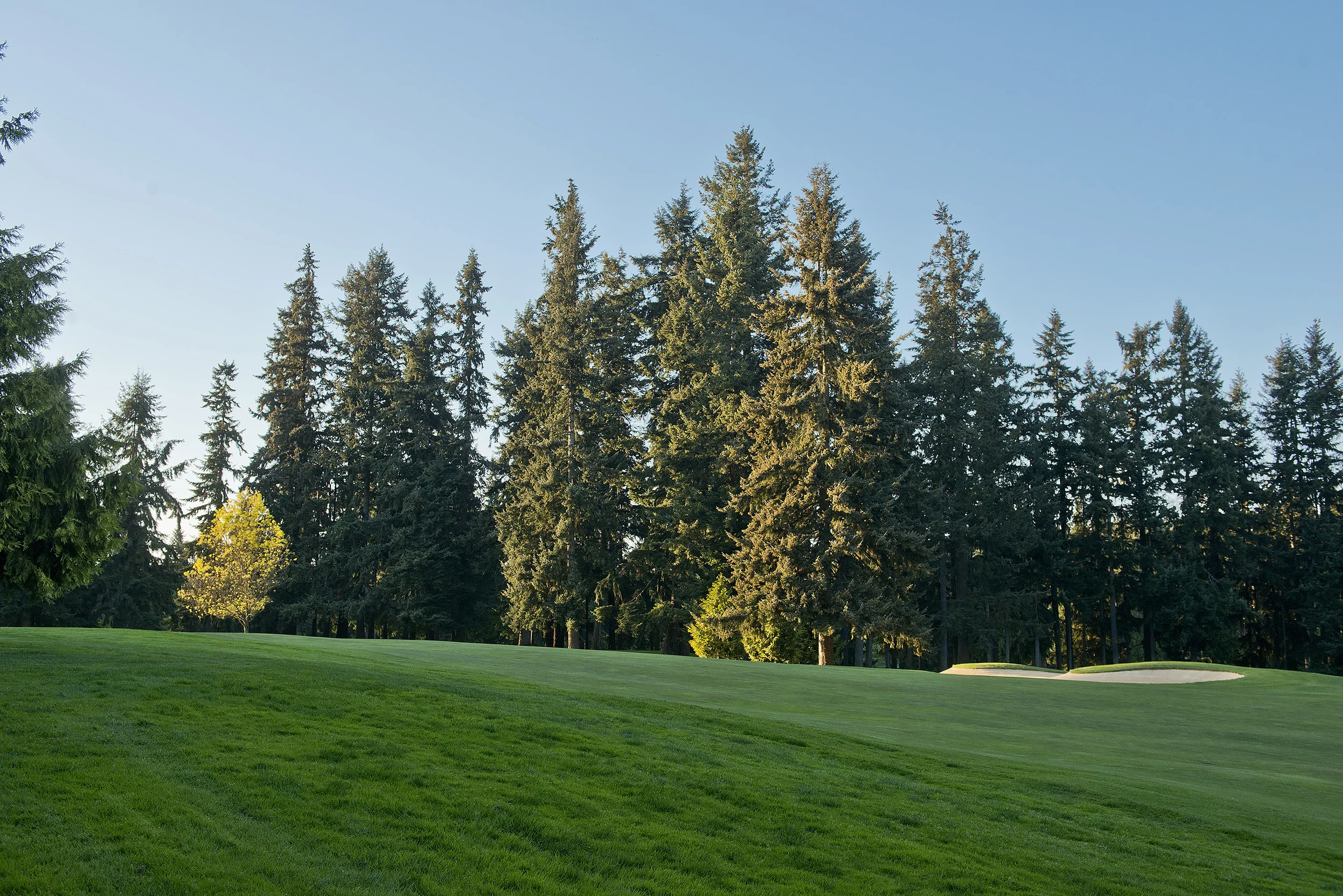 golf course 2.jpg