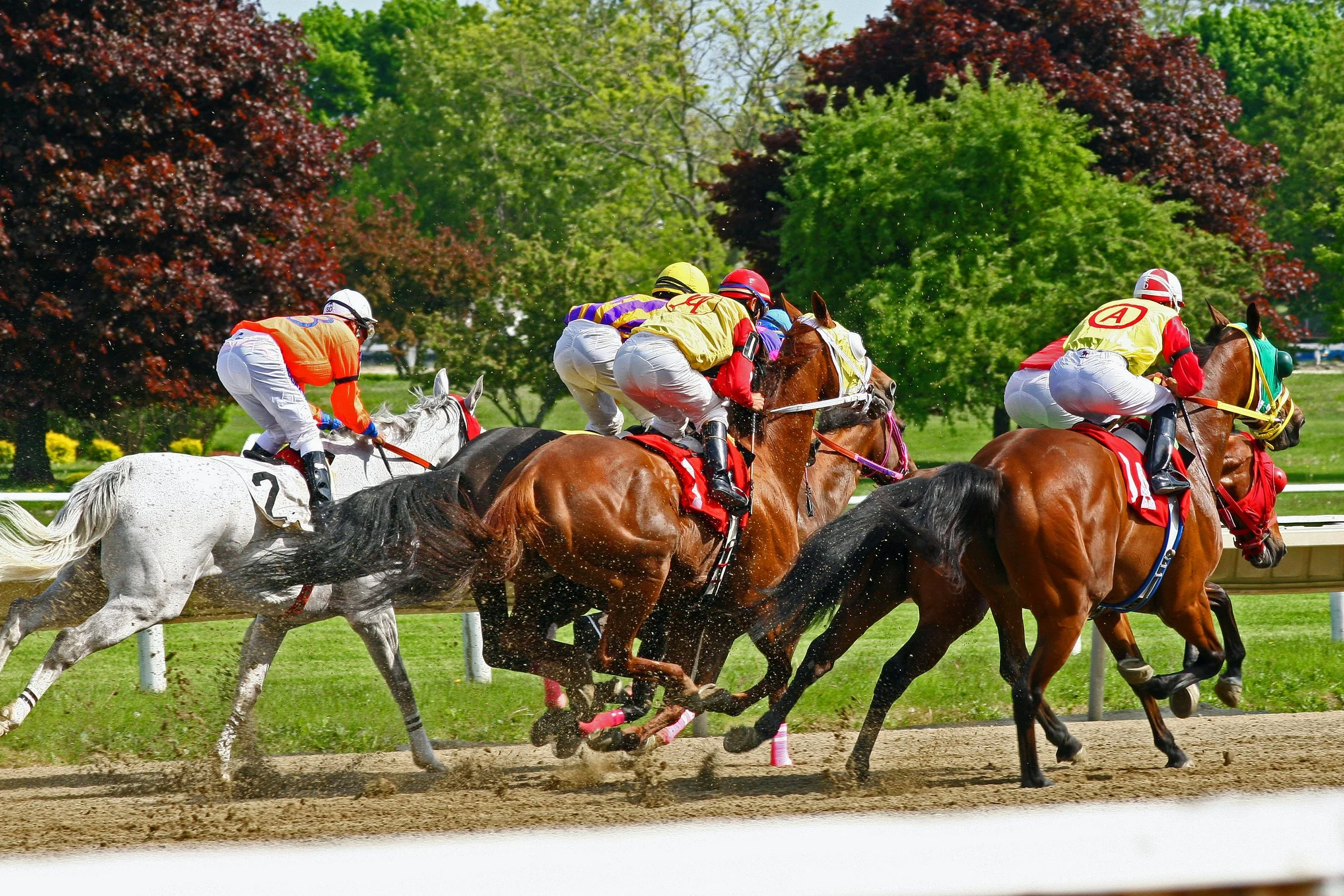 Talk Derby To Me // W Bellevue