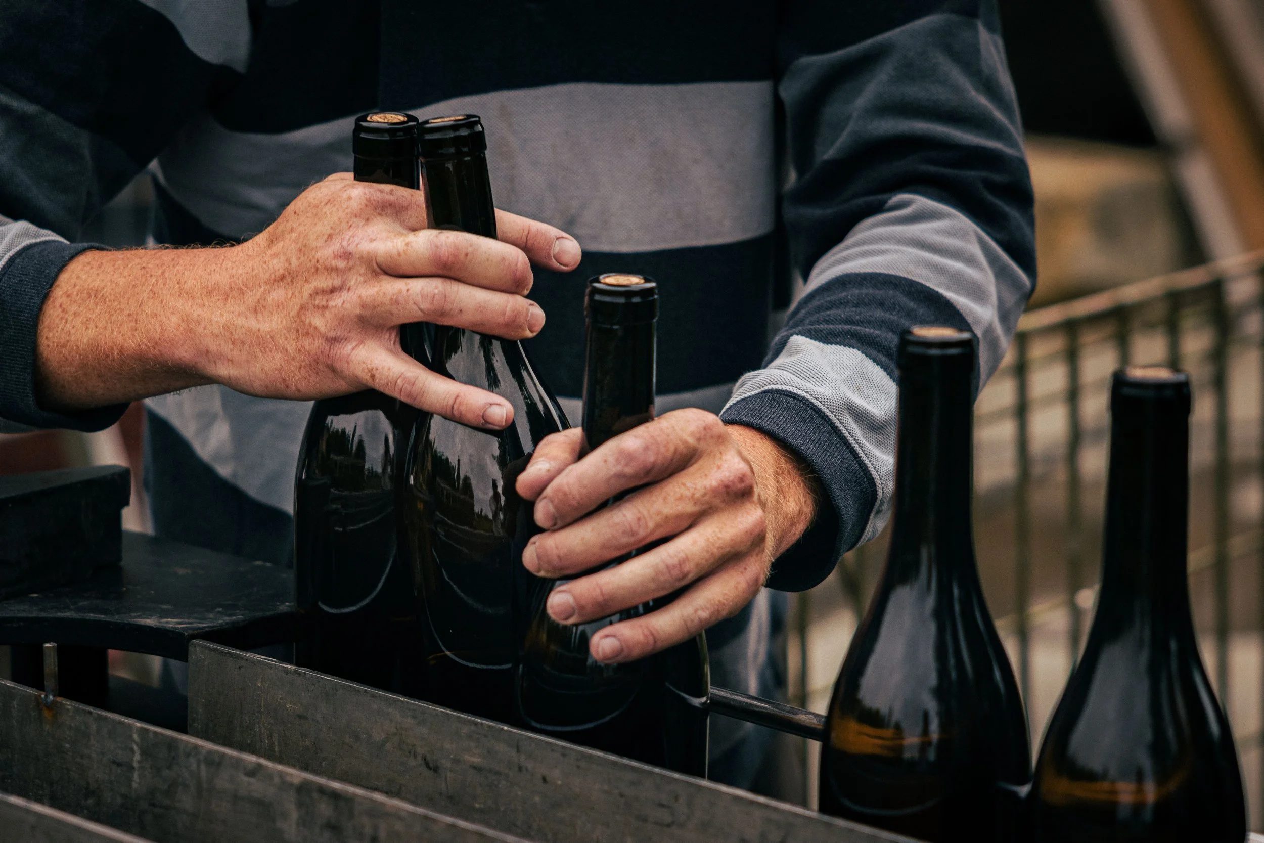Winemaker Picnic // Chateau Ste. Michelle