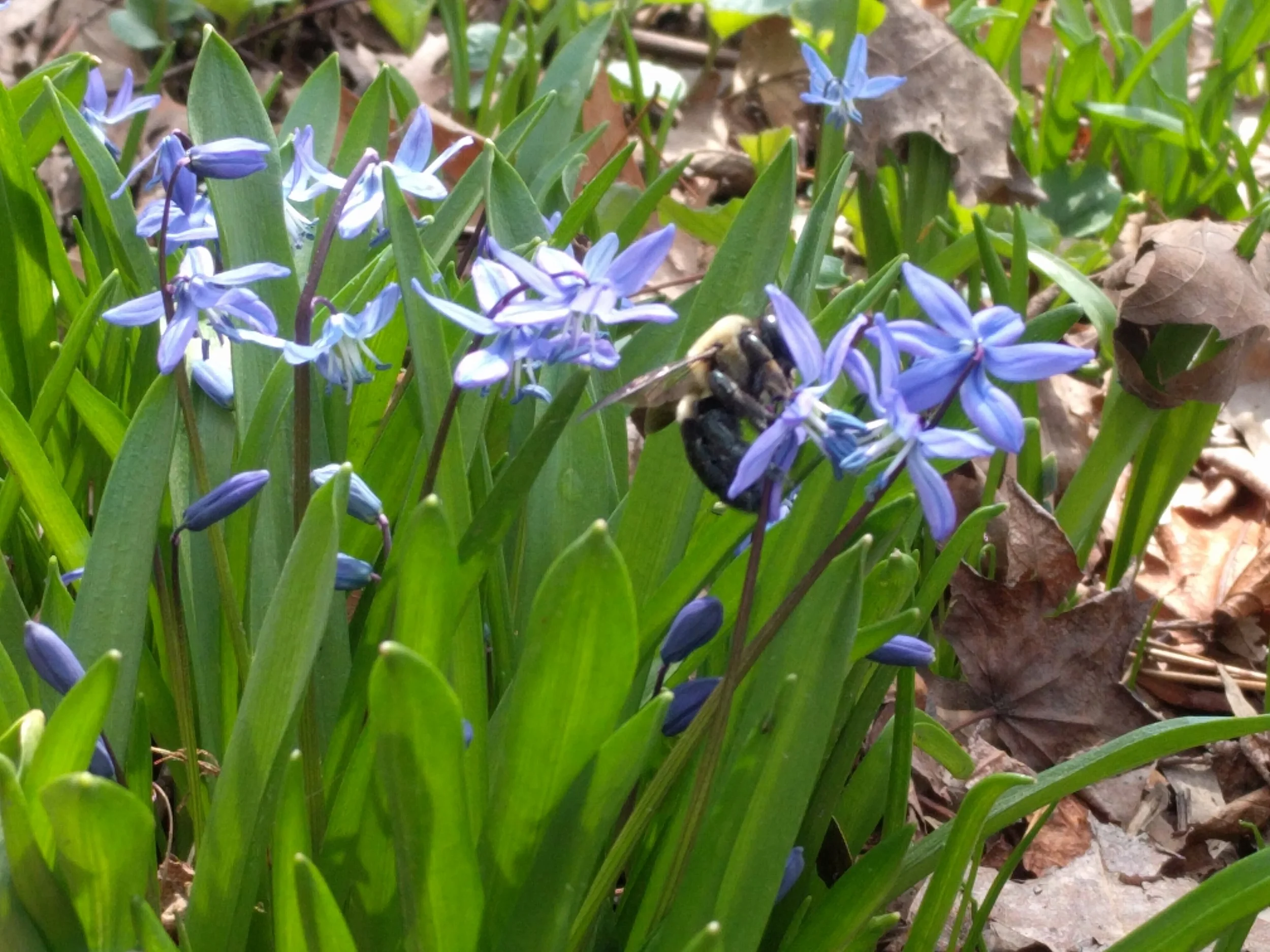 IMG_20190408_131110.jpg
